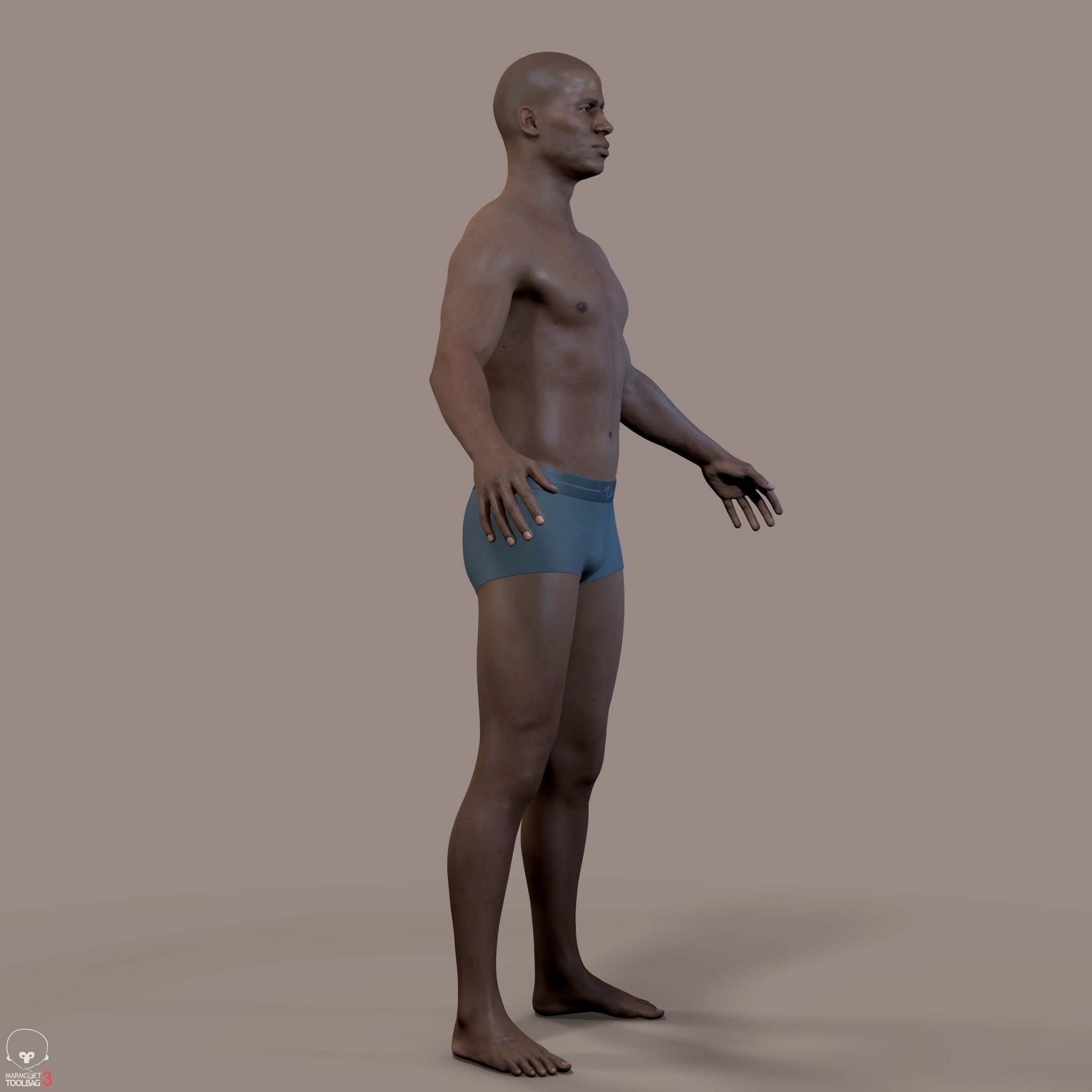 Average Human Body Collection _65