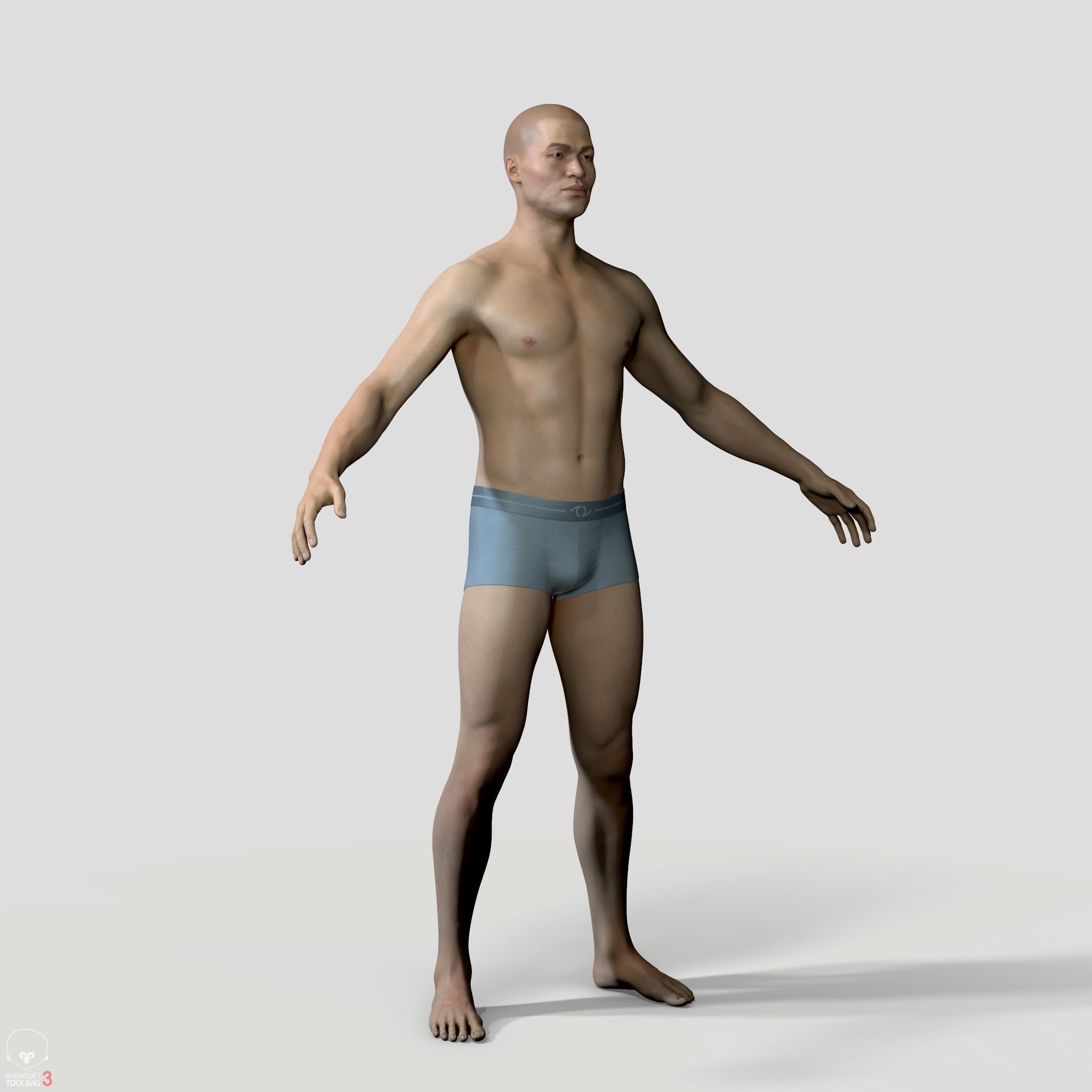 Average Human Body Collection _51