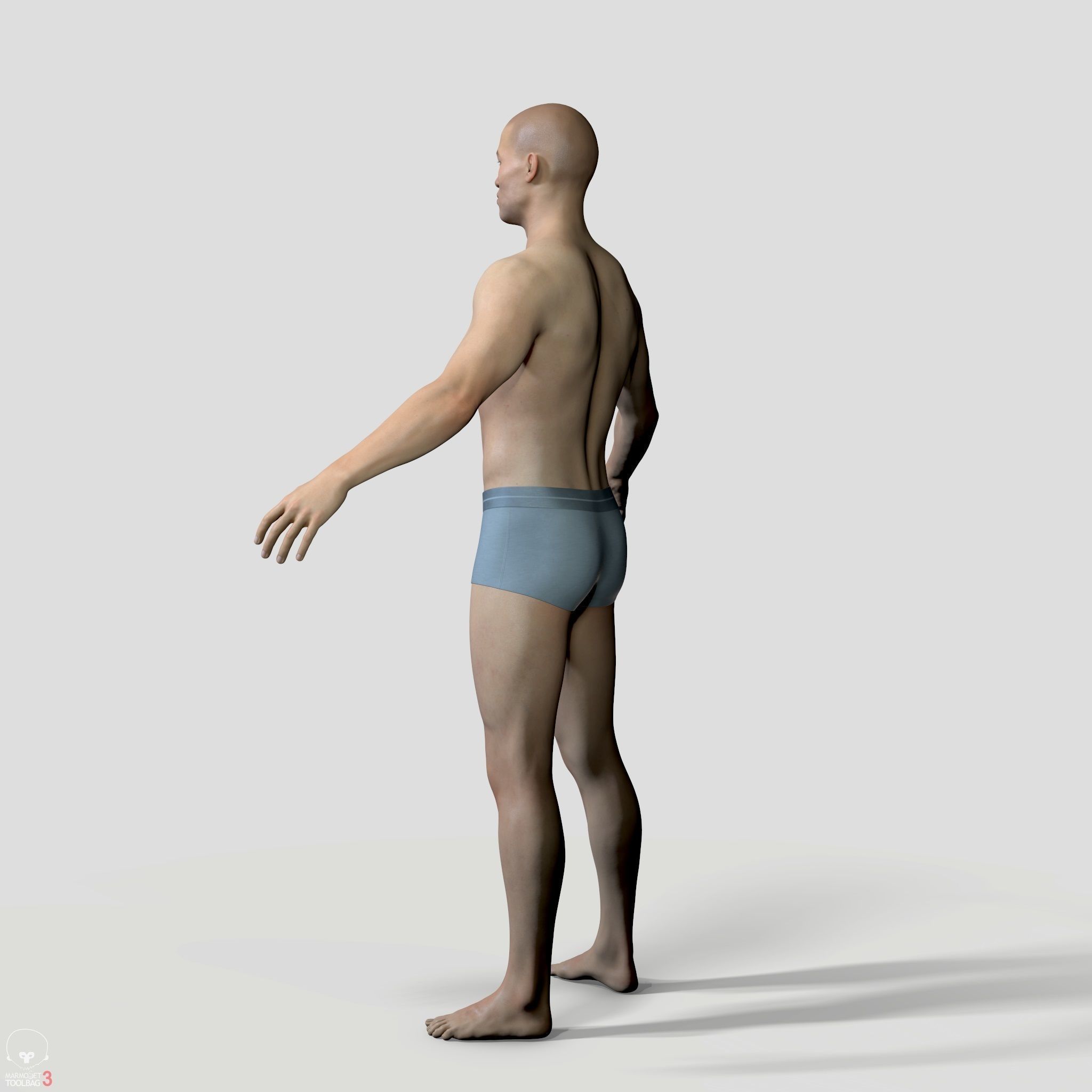 Average Human Body Collection _58
