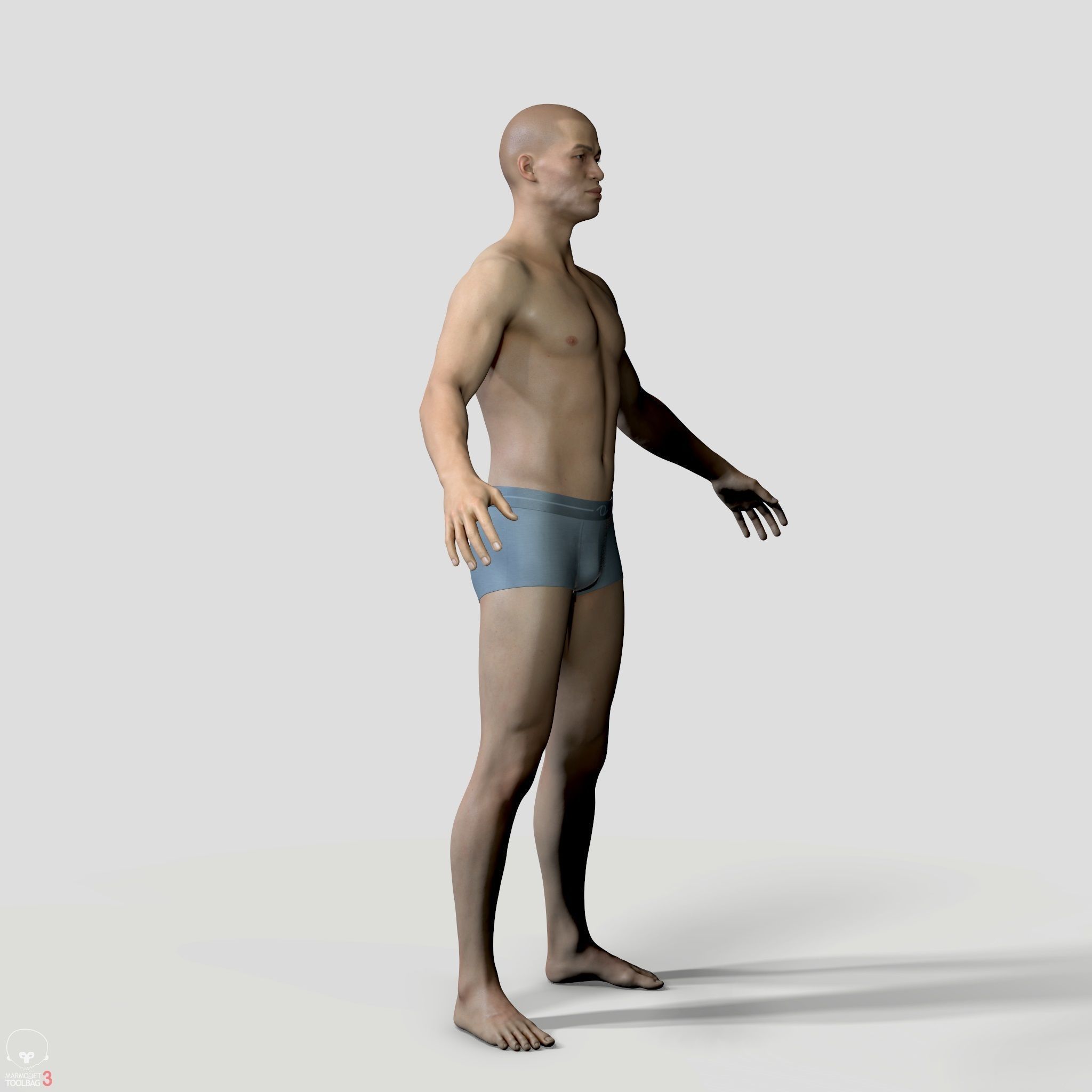 Average Human Body Collection _52