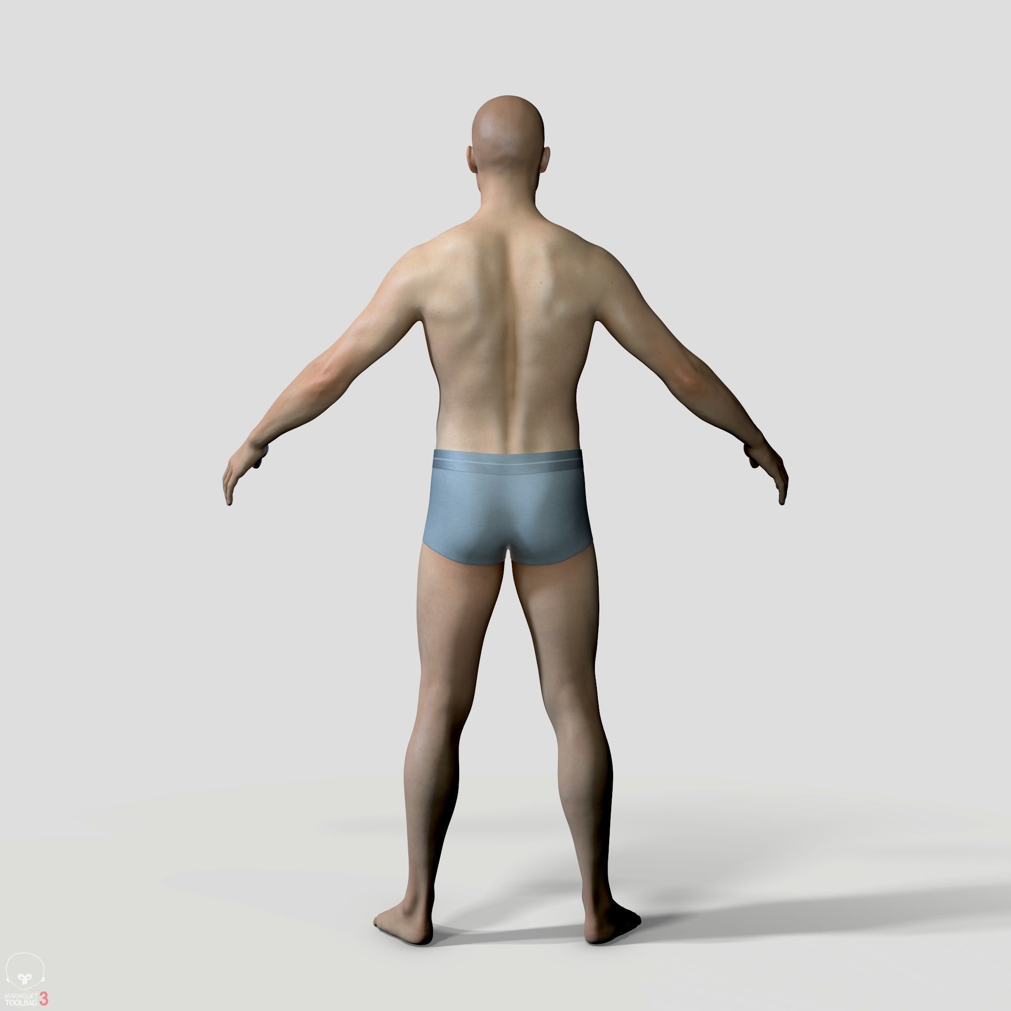 Average Human Body Collection _56