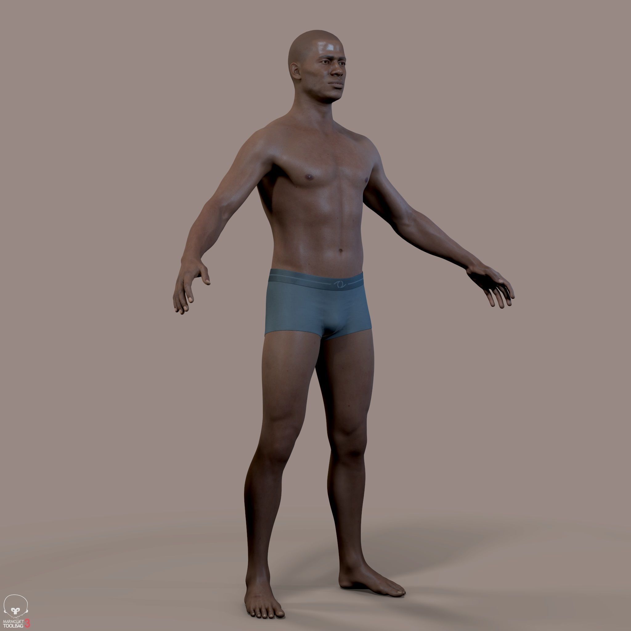 Average Human Body Collection _64