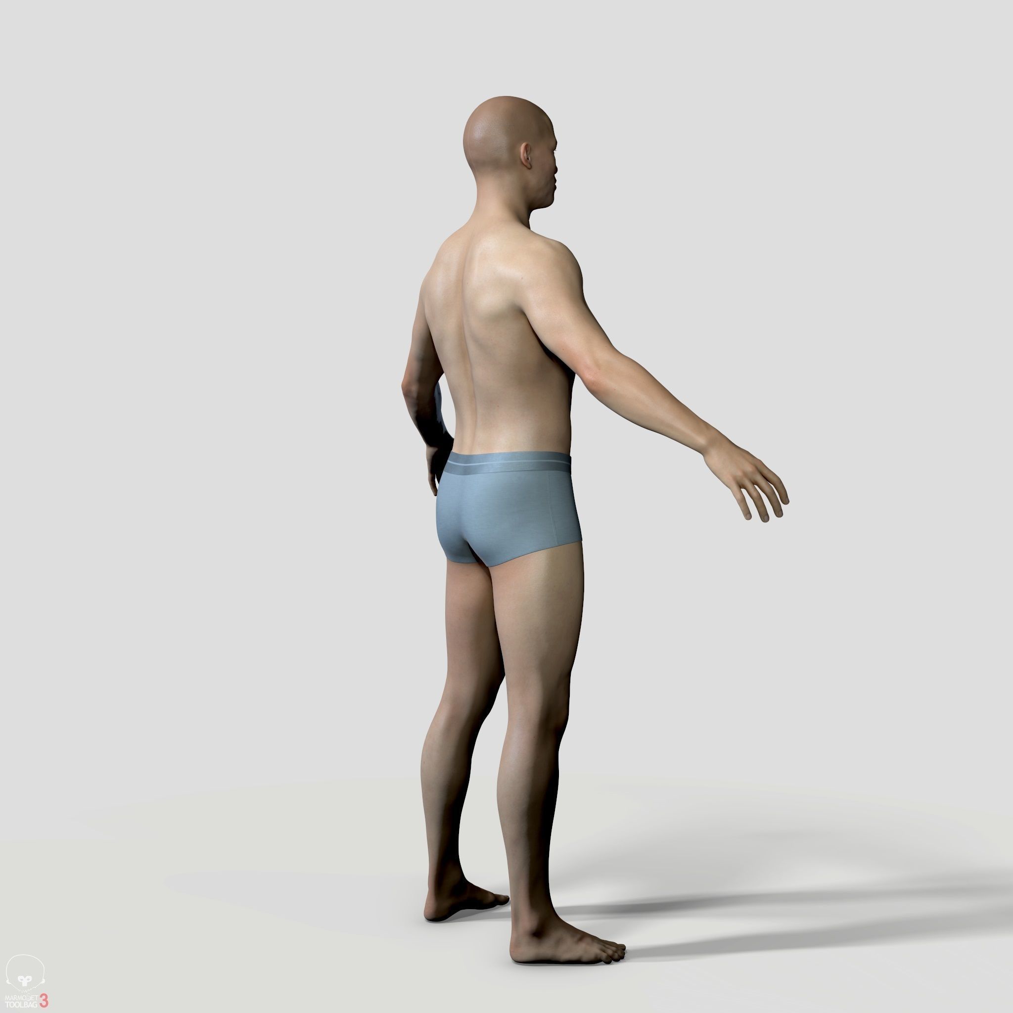 Average Human Body Collection _54