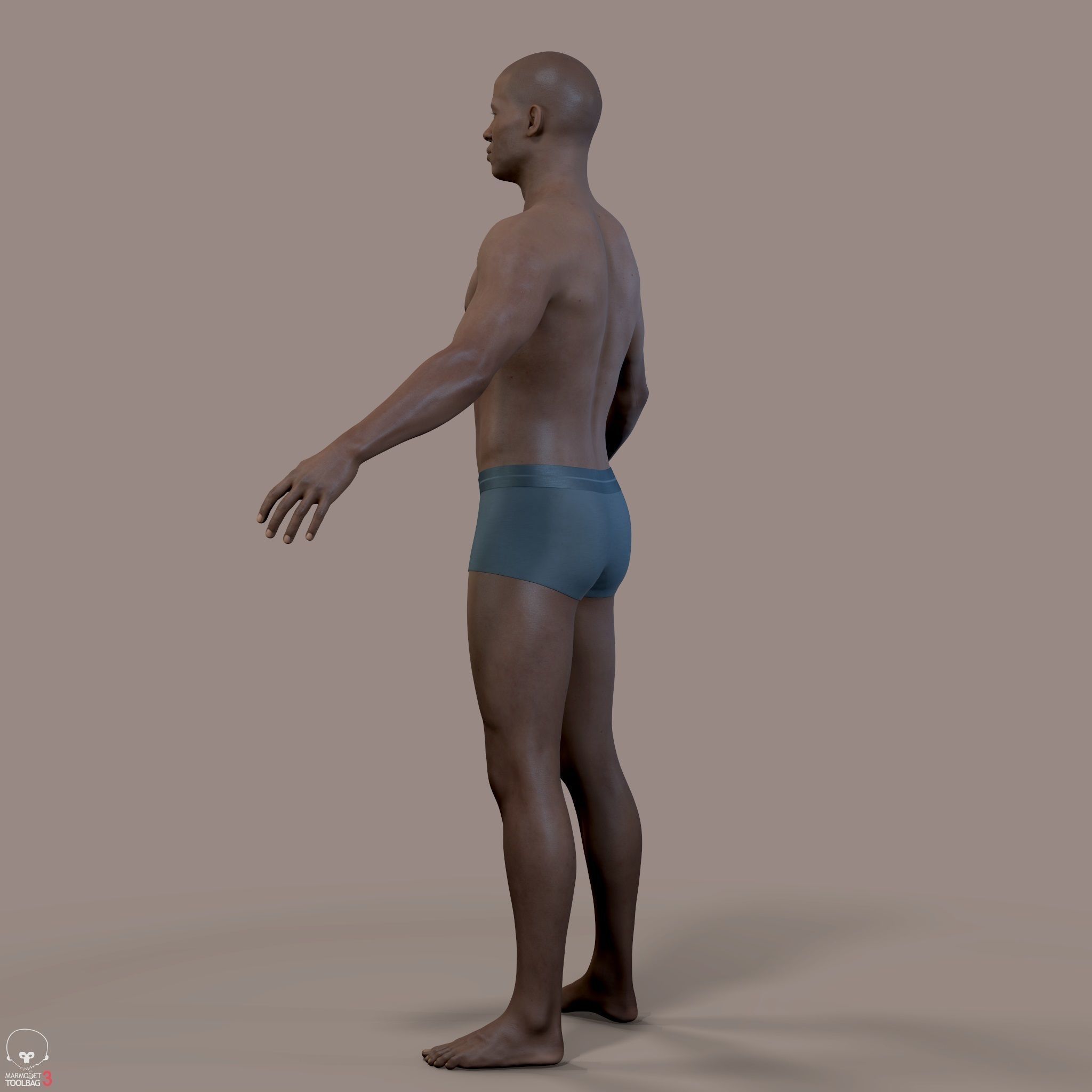 Average Human Body Collection _71