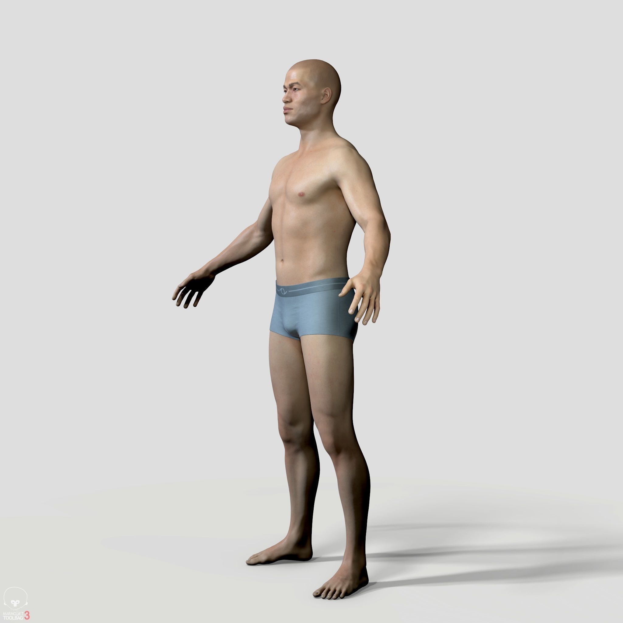 Average Human Body Collection _60