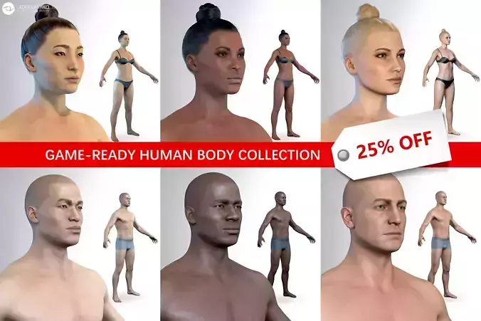 Average Human Body Collection 