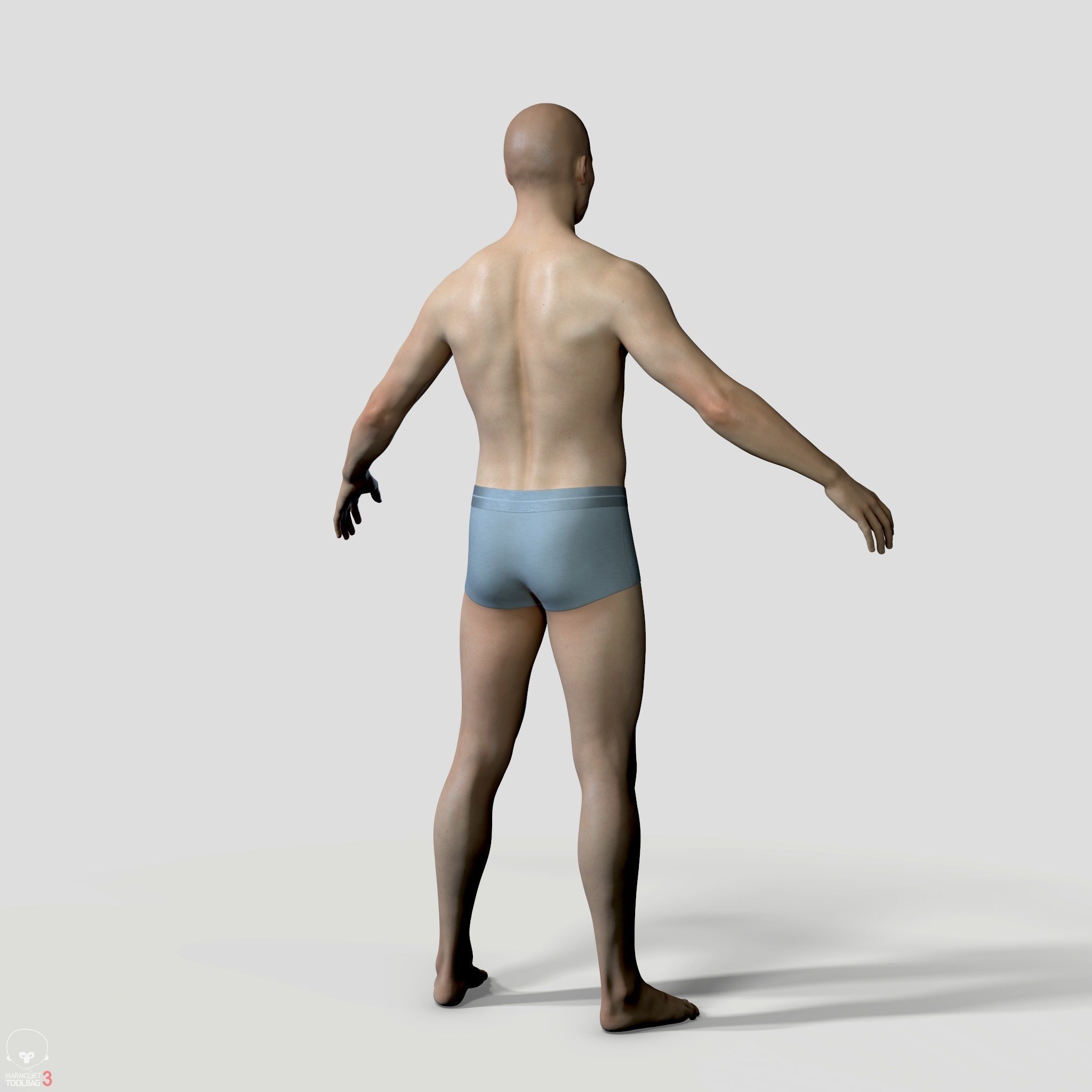 Average Human Body Collection _55