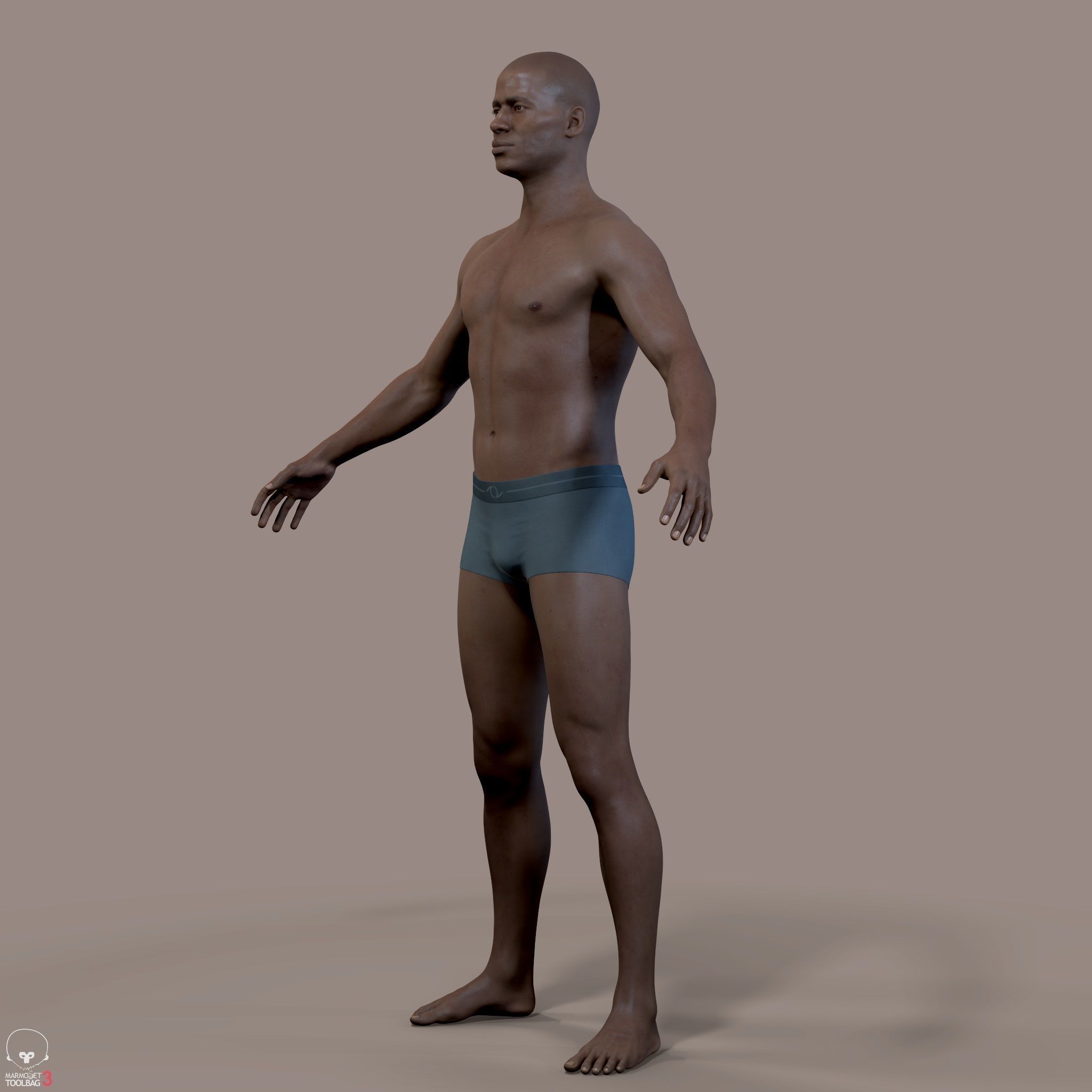 Average Human Body Collection _73