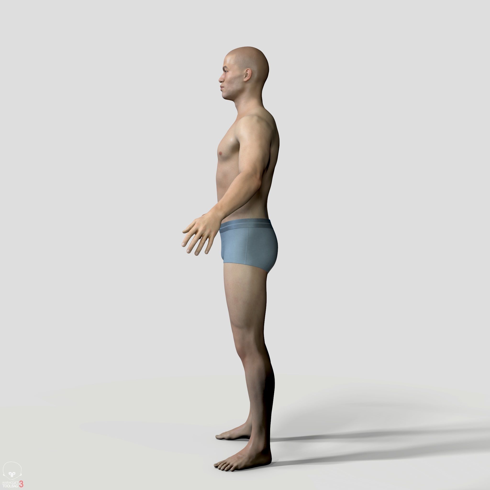 Average Human Body Collection _59