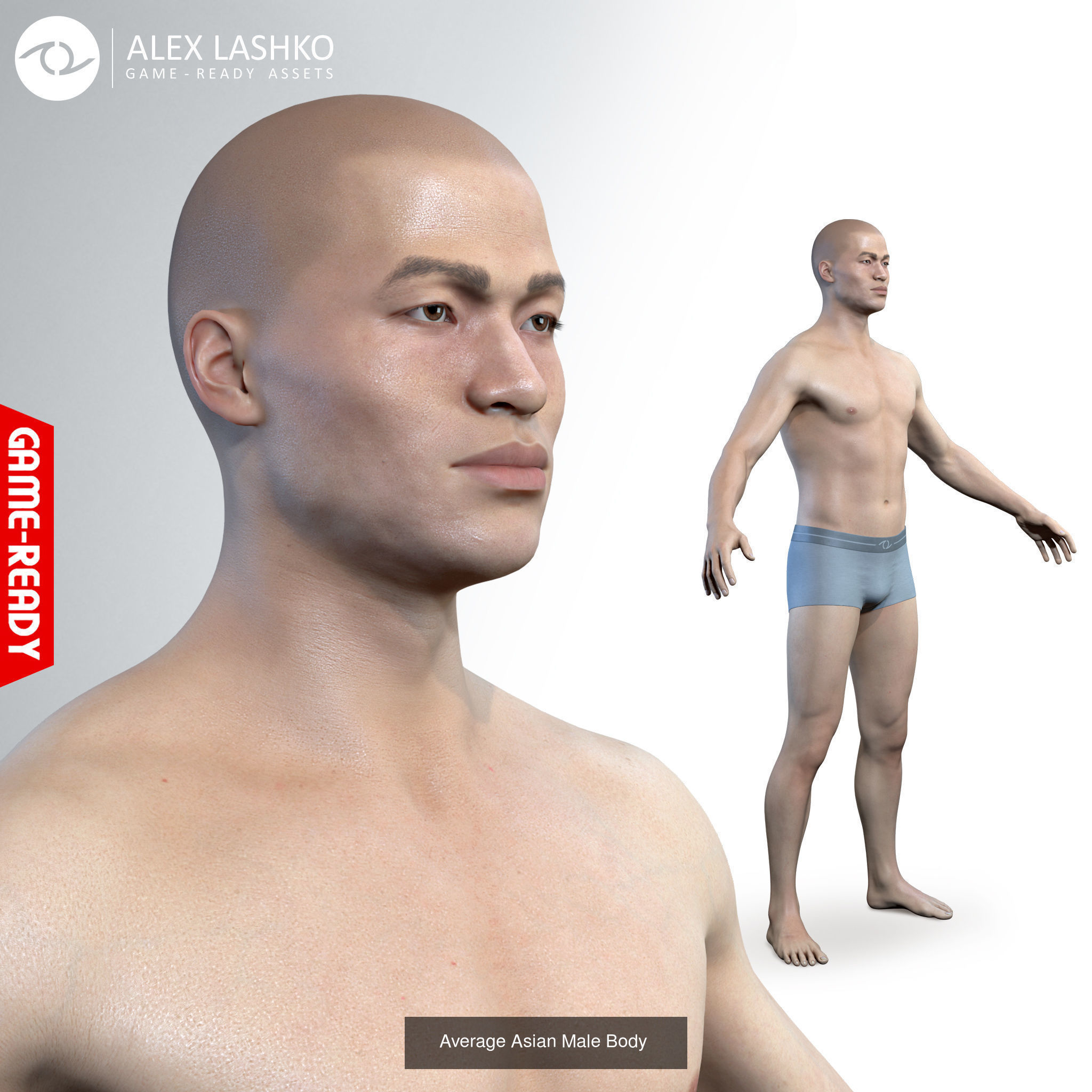 Average Human Body Collection _8