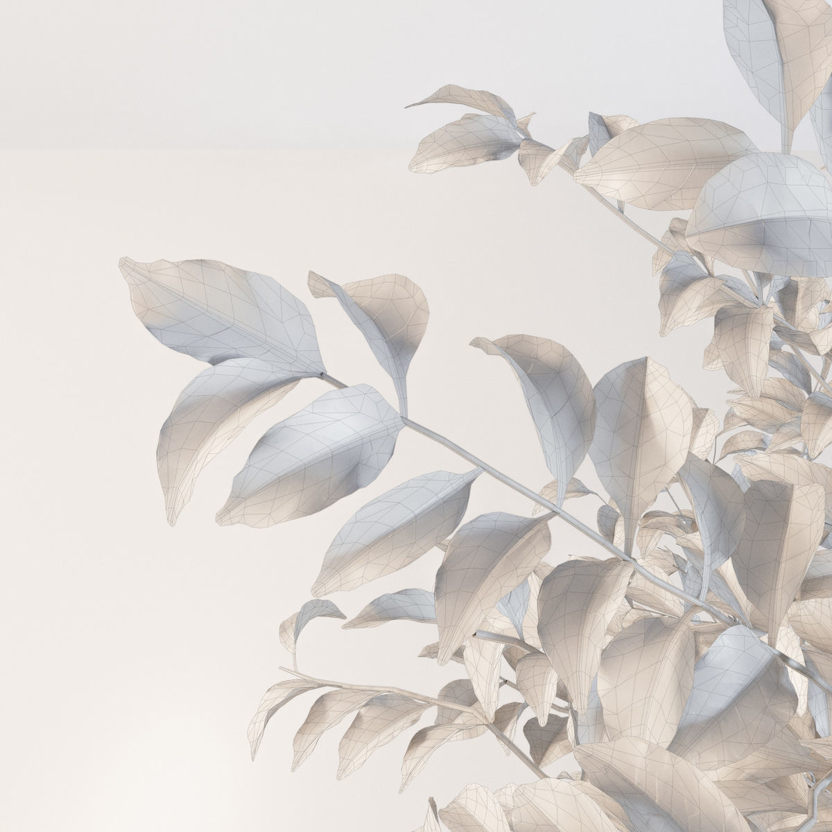 Fraxinus griffithii Tree 3D model_9