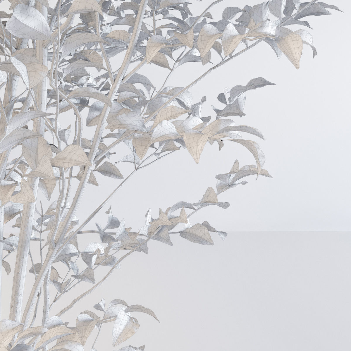 Fraxinus griffithii Tree 3D model_7