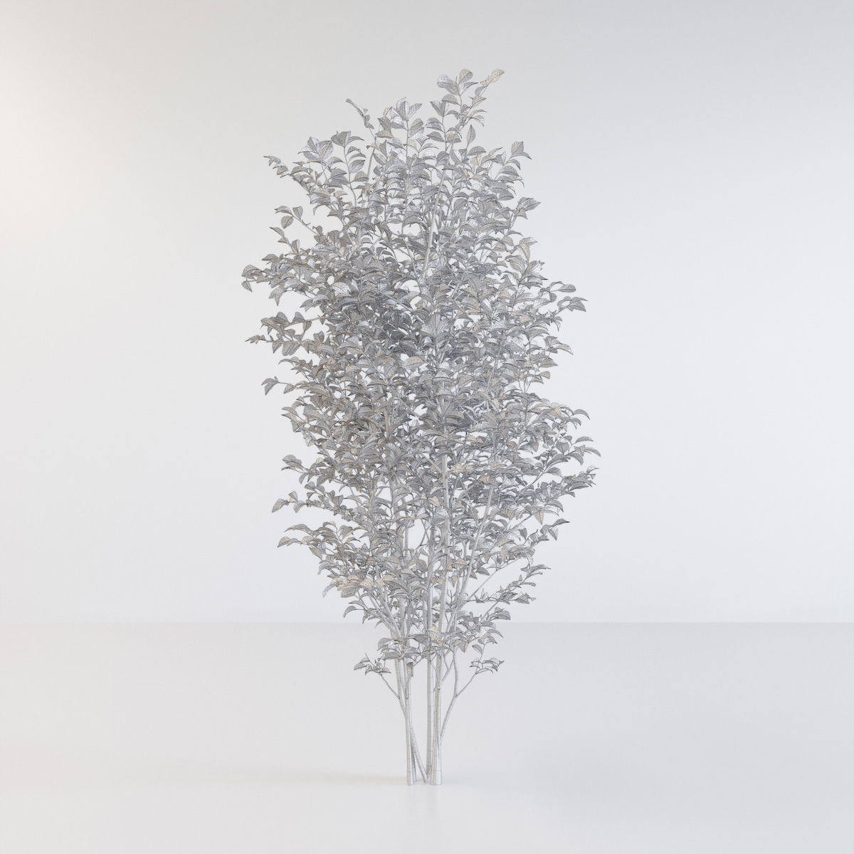 Fraxinus griffithii Tree 3D model_5