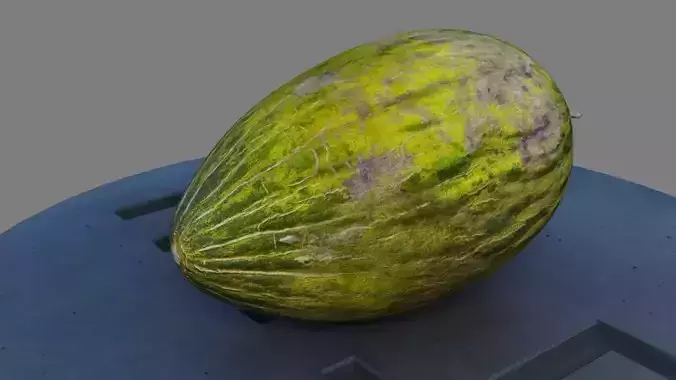 Melon Piel De Sapo