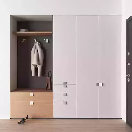 Modern wardrobe for entryway