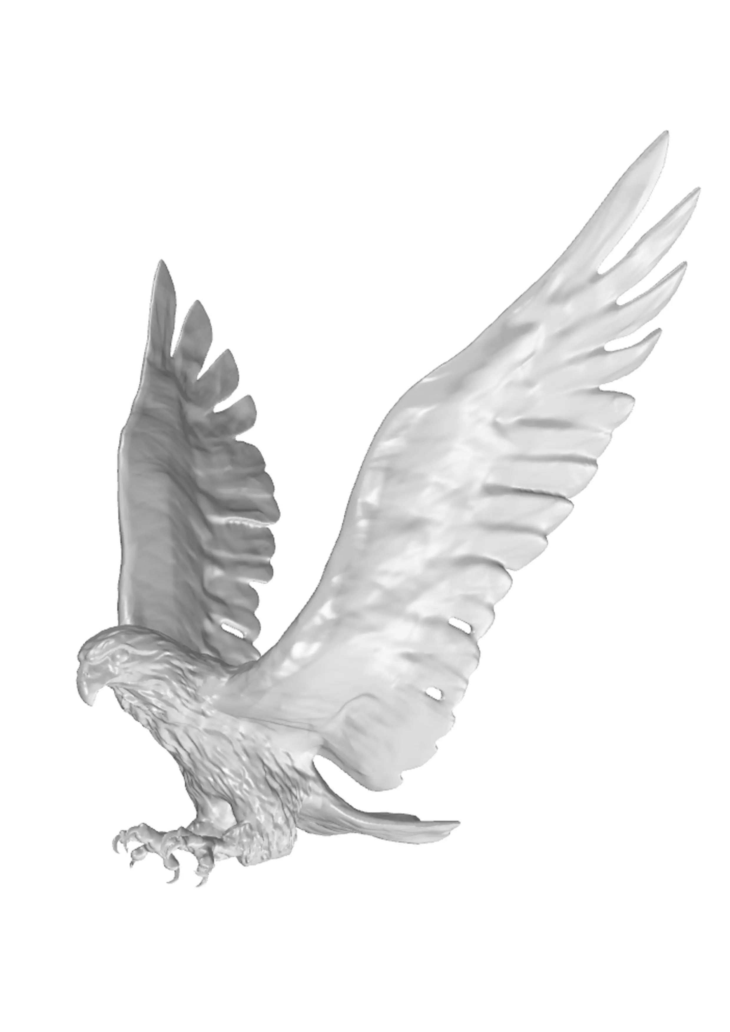 hawk attack 3D print model