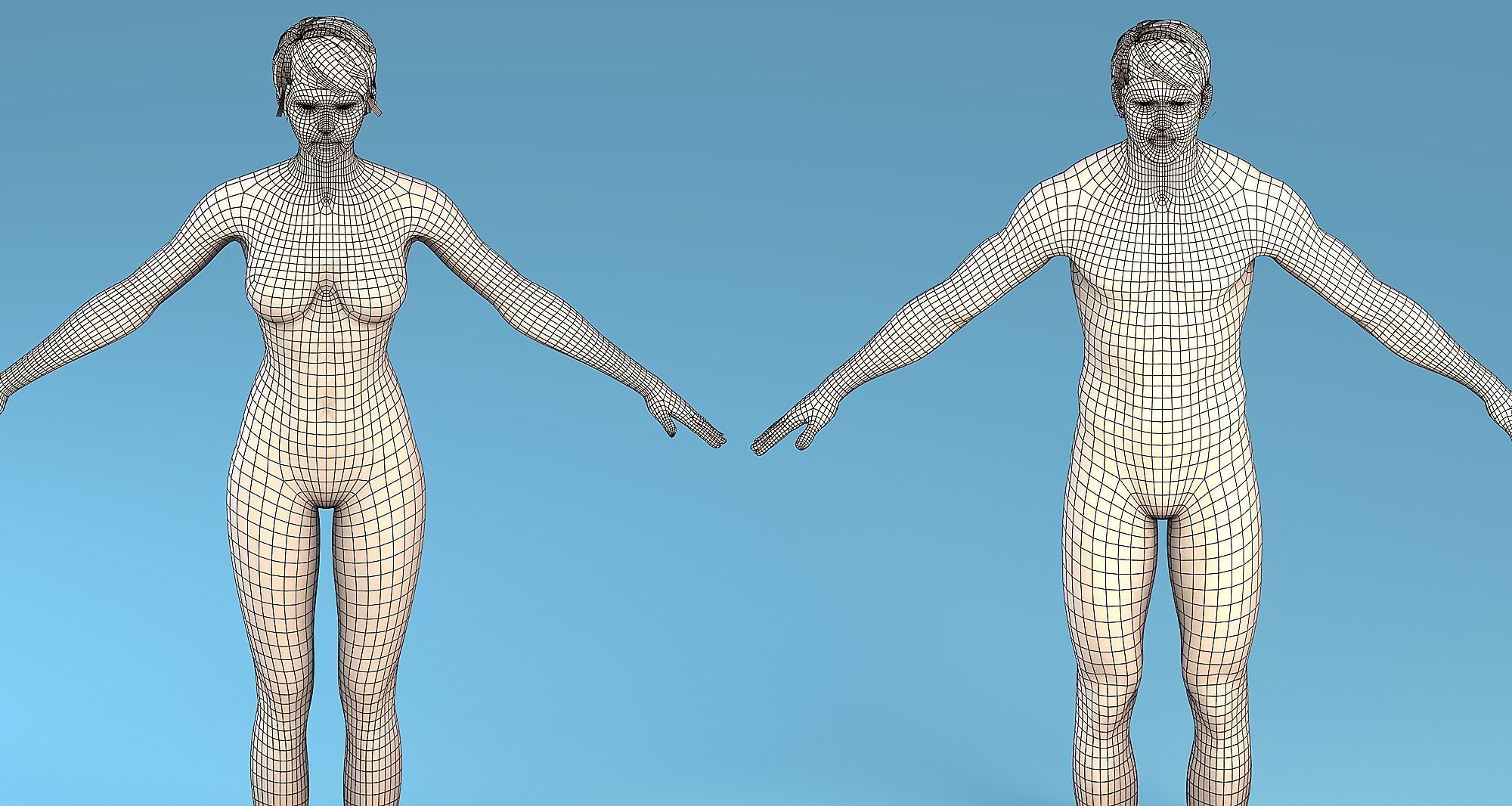 Base Mesh Character Male or female Low-poly 3D model_1