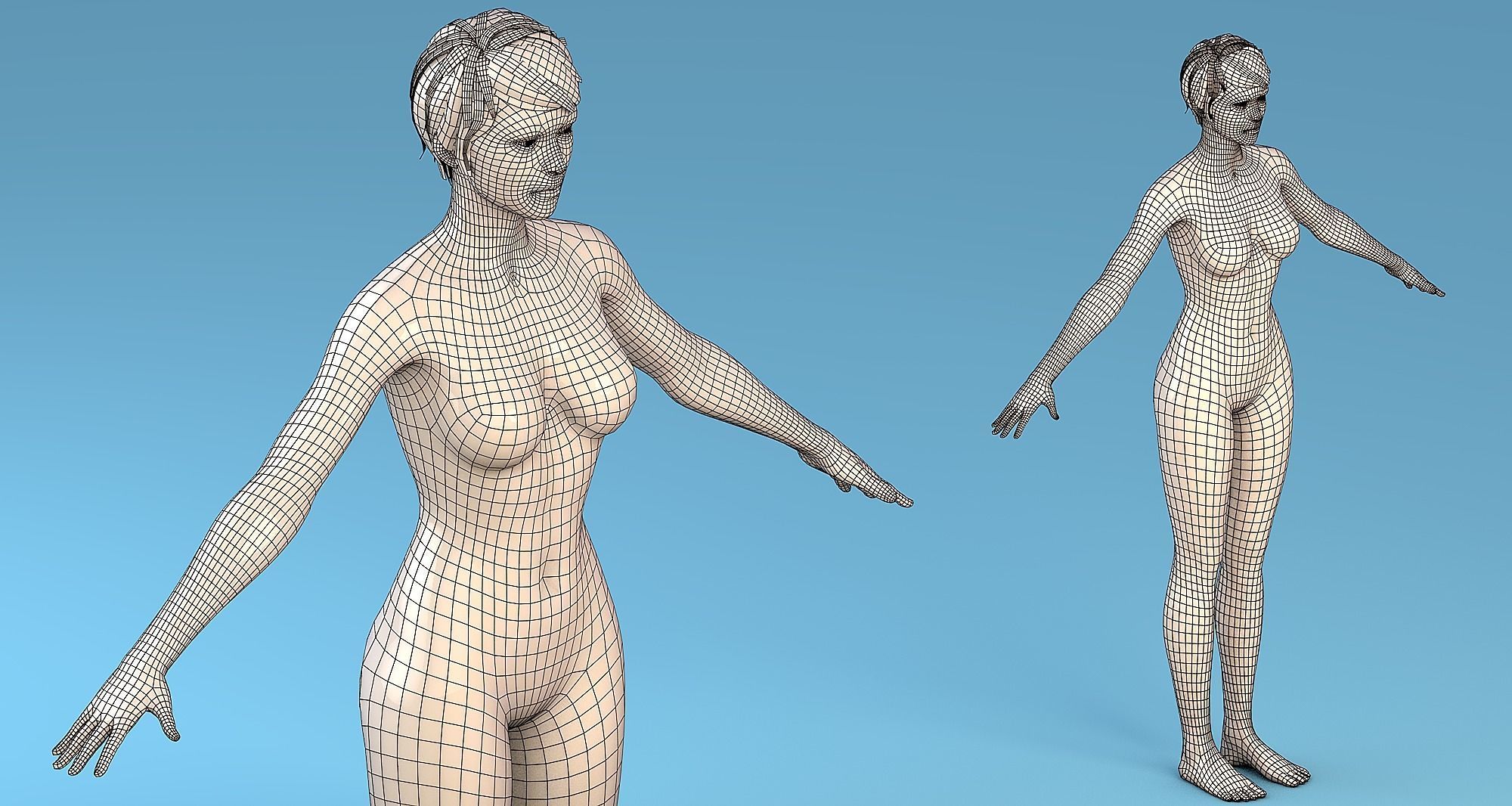 Base Mesh Character Male or female Low-poly 3D model_5