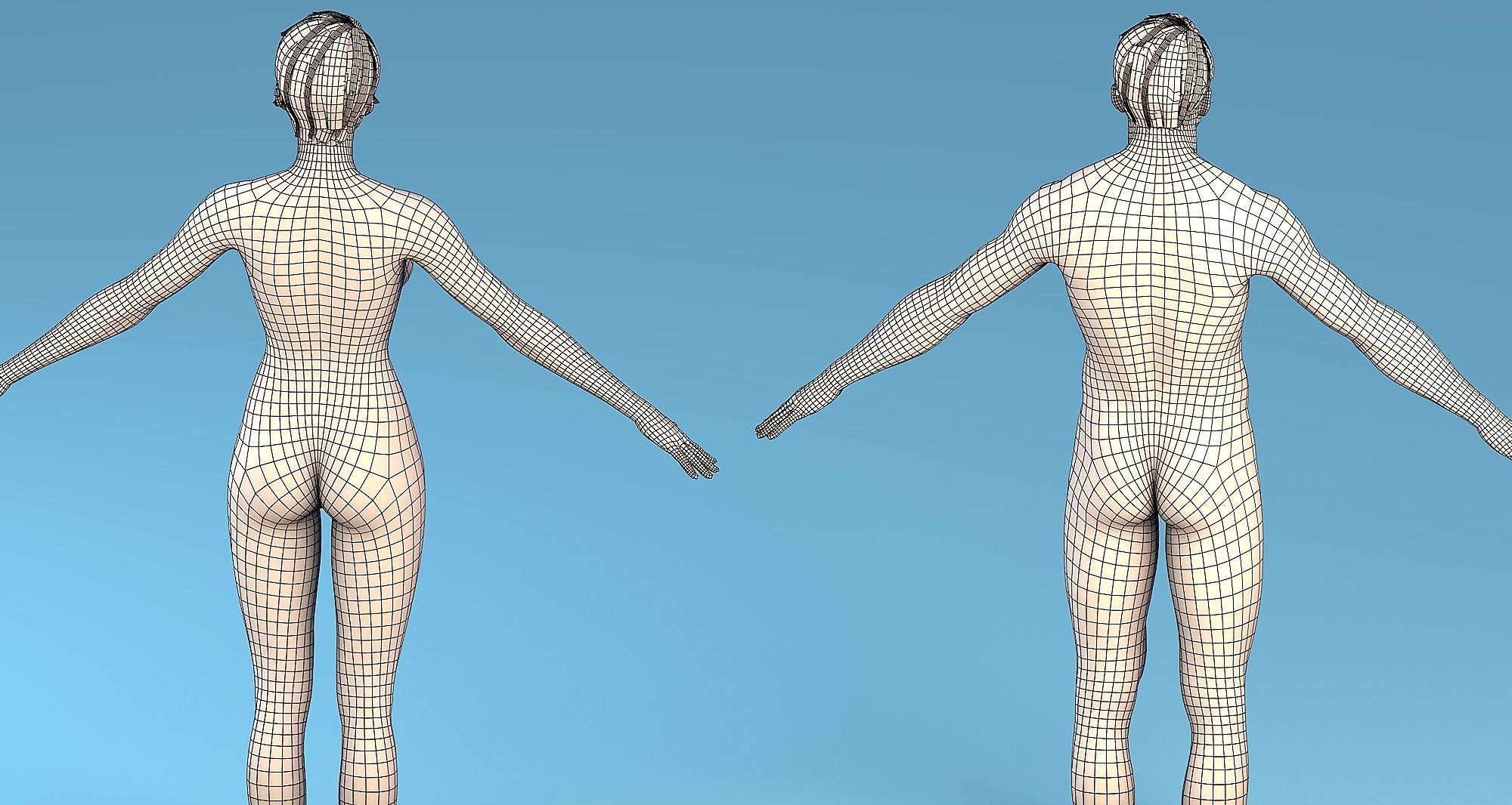 Base Mesh Character Male or female Low-poly 3D model_2