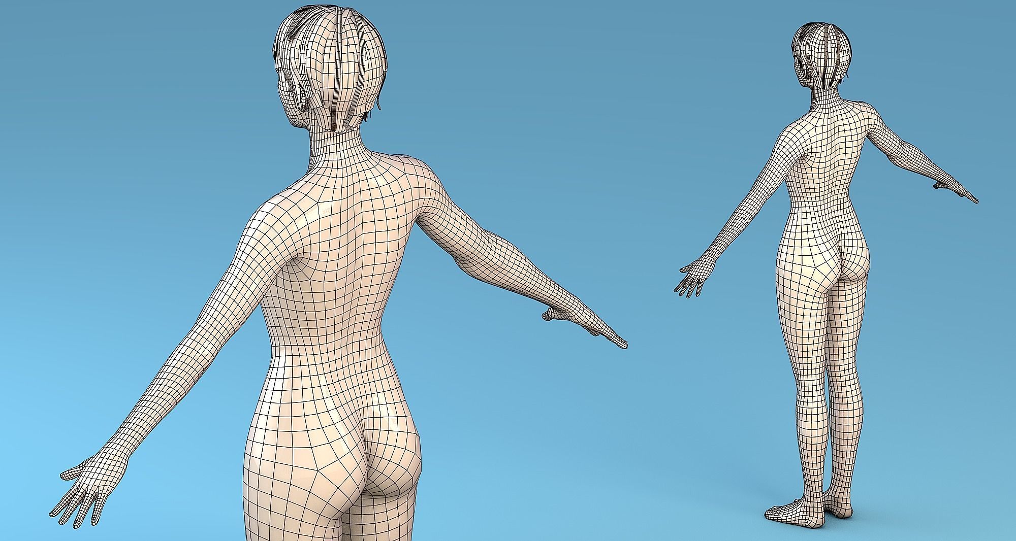 Base Mesh Character Male or female Low-poly 3D model_6