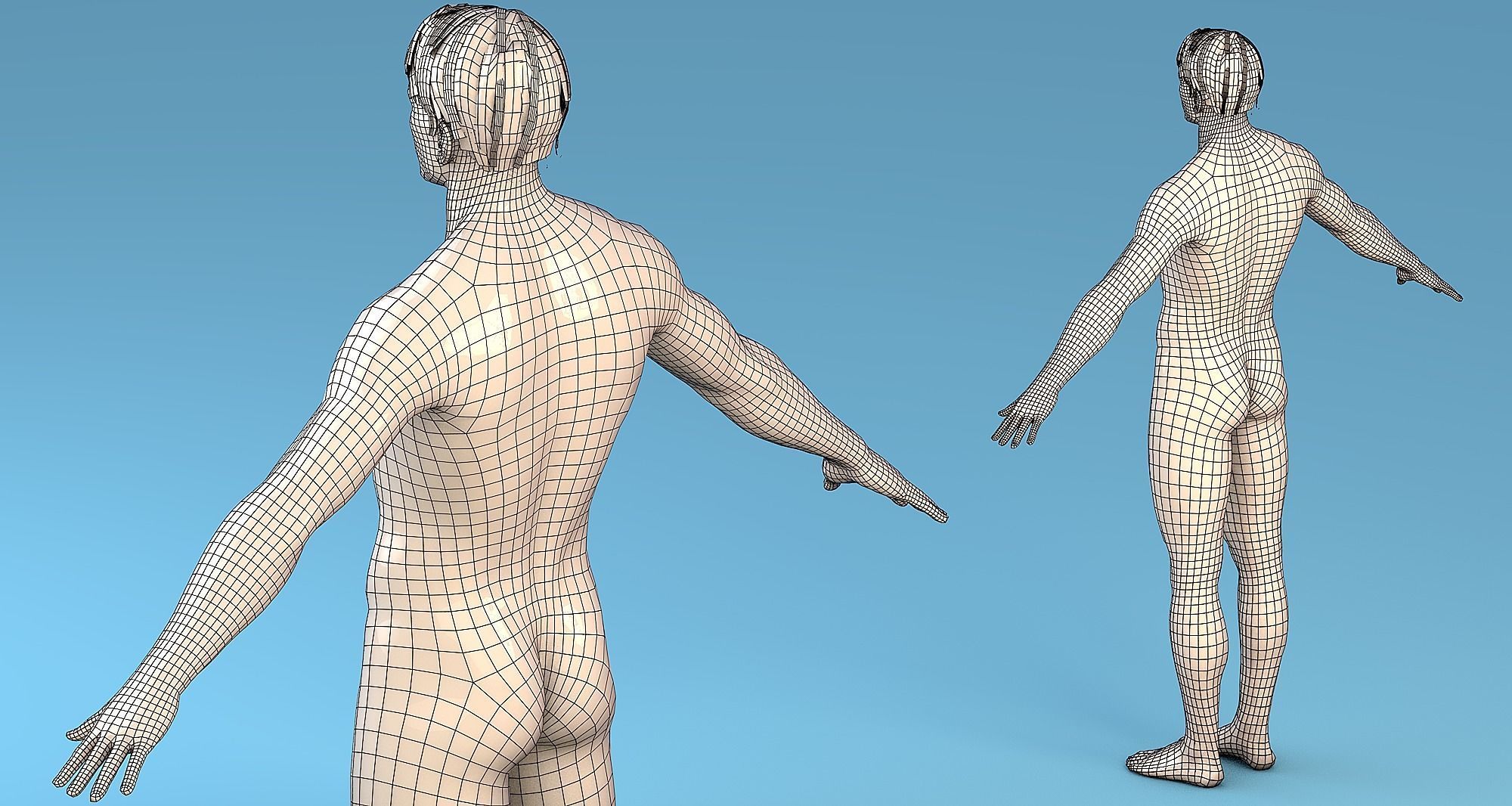 Base Mesh Character Male or female Low-poly 3D model_8