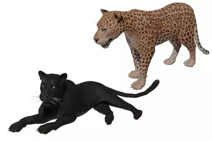 Leopard Low-poly 3D model