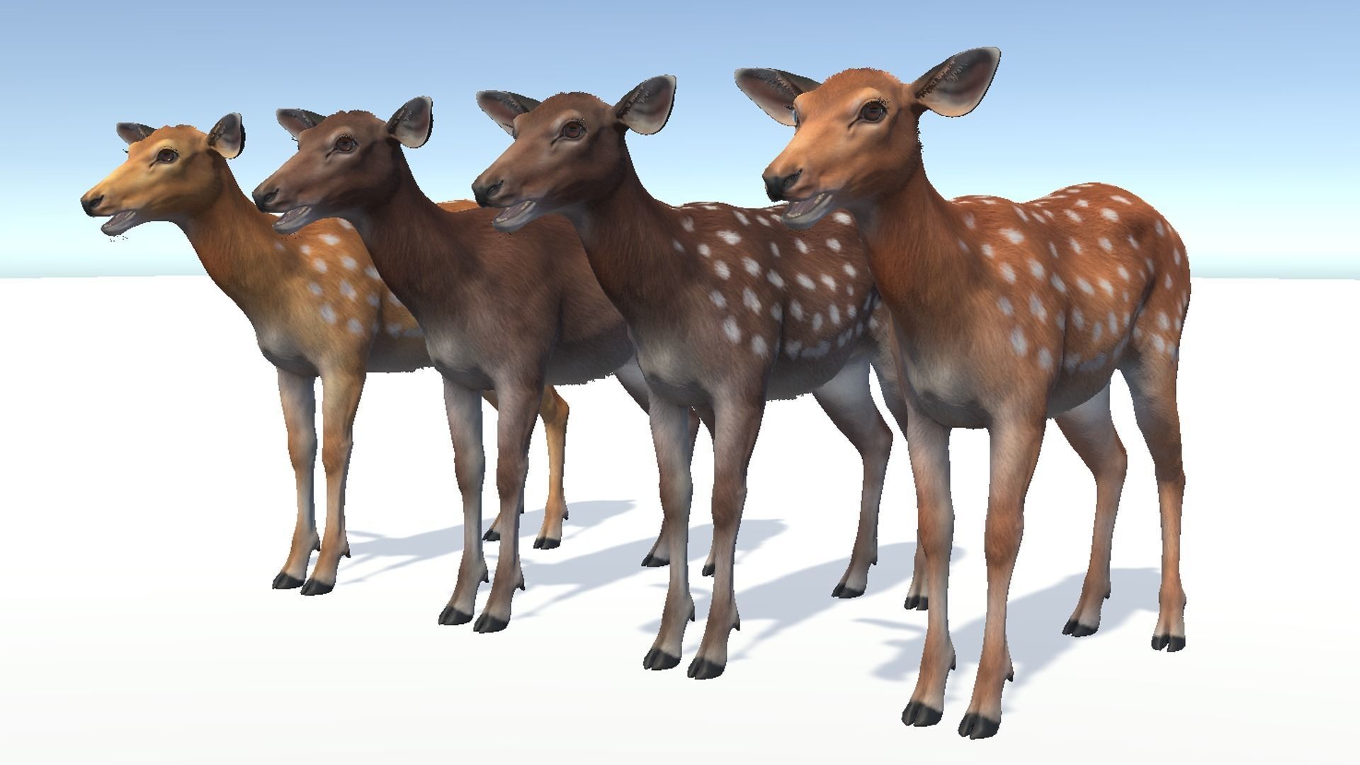 Deer - Doe Low-poly 3D model_8