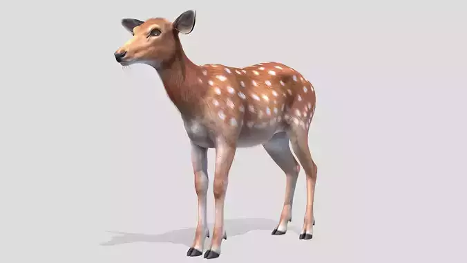 Deer - Doe Low-poly 3D model