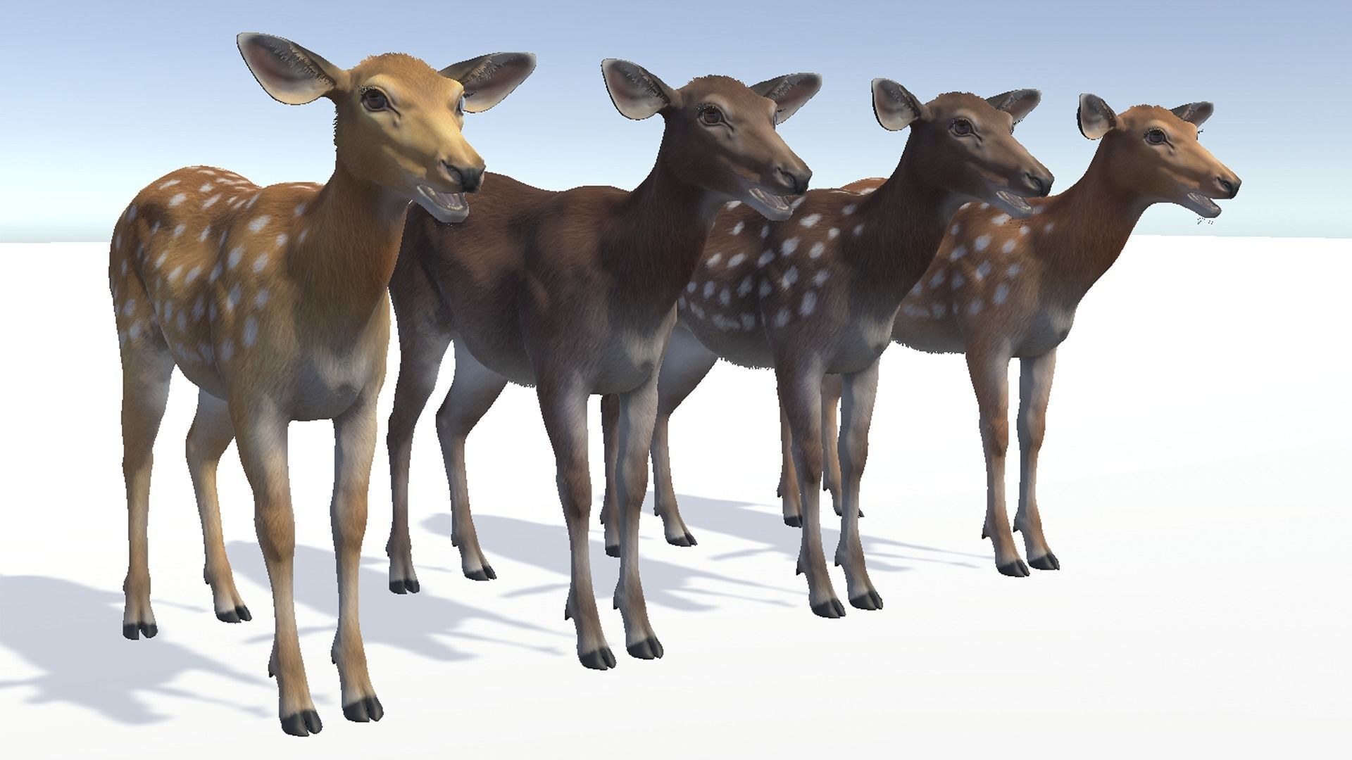 Deer - Doe Low-poly 3D model_11