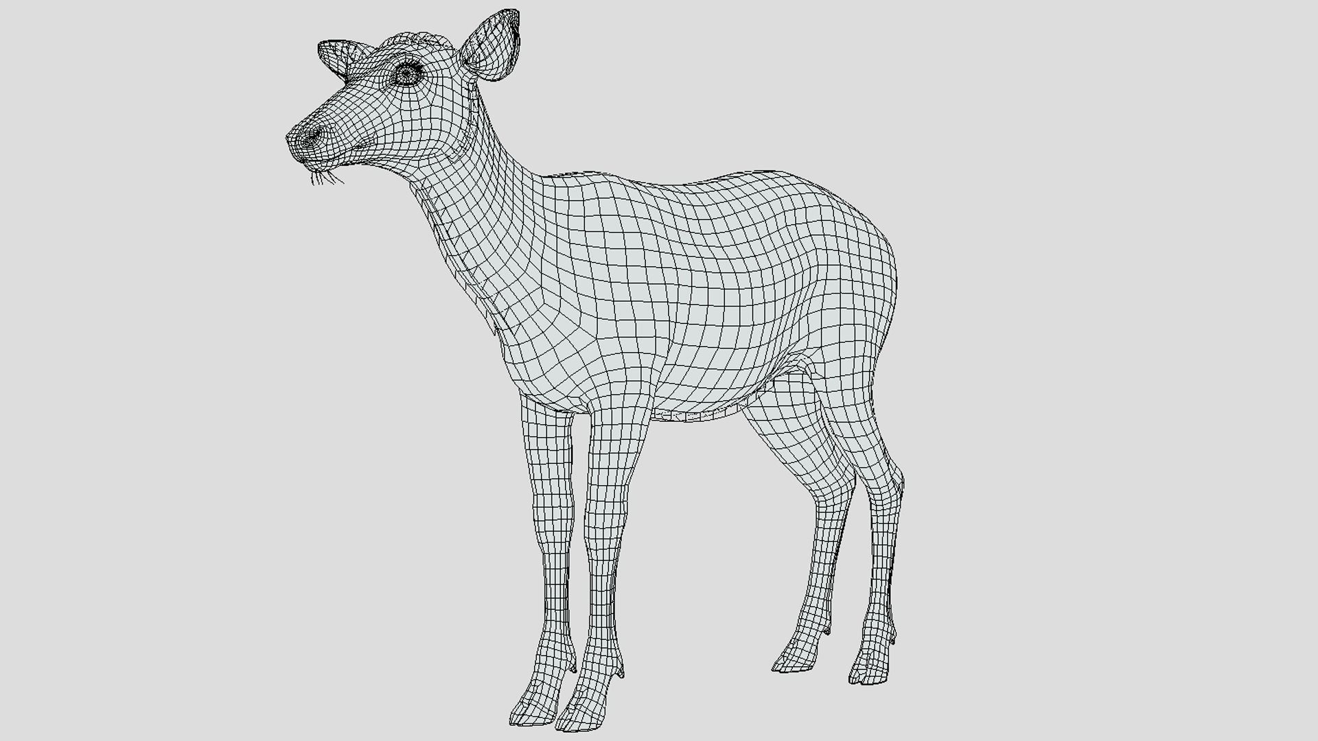 Deer - Doe Low-poly 3D model_7