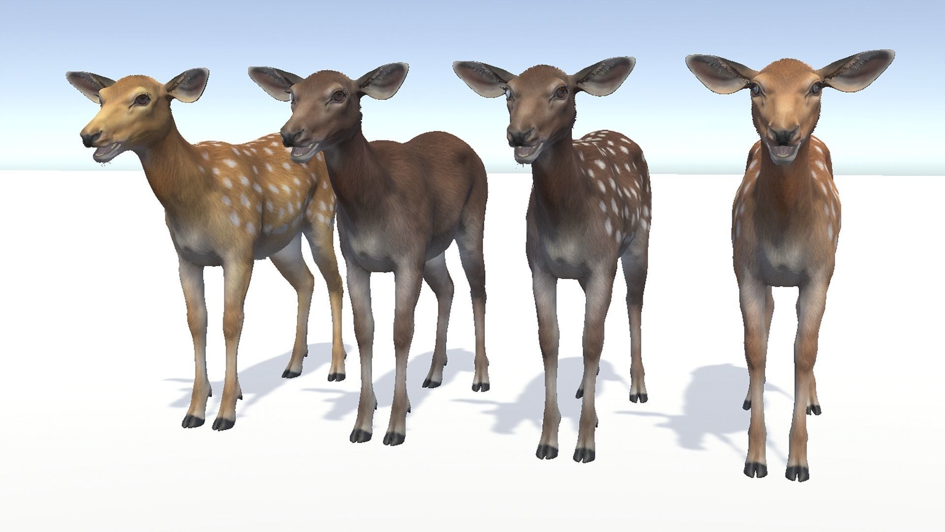 Deer - Doe Low-poly 3D model_9