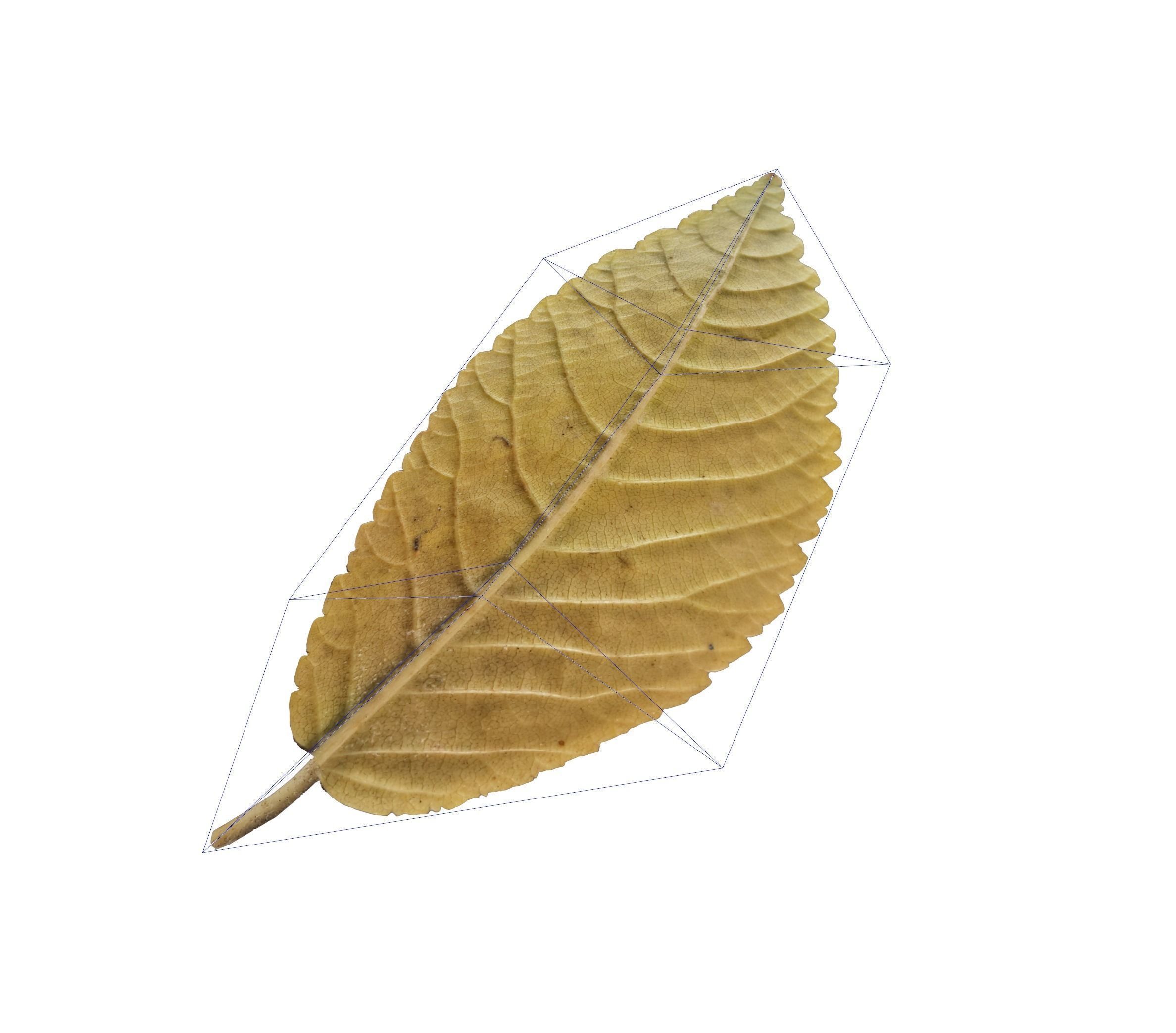 gardening props  - Game Ready - VR AR 3D Model Collection_13