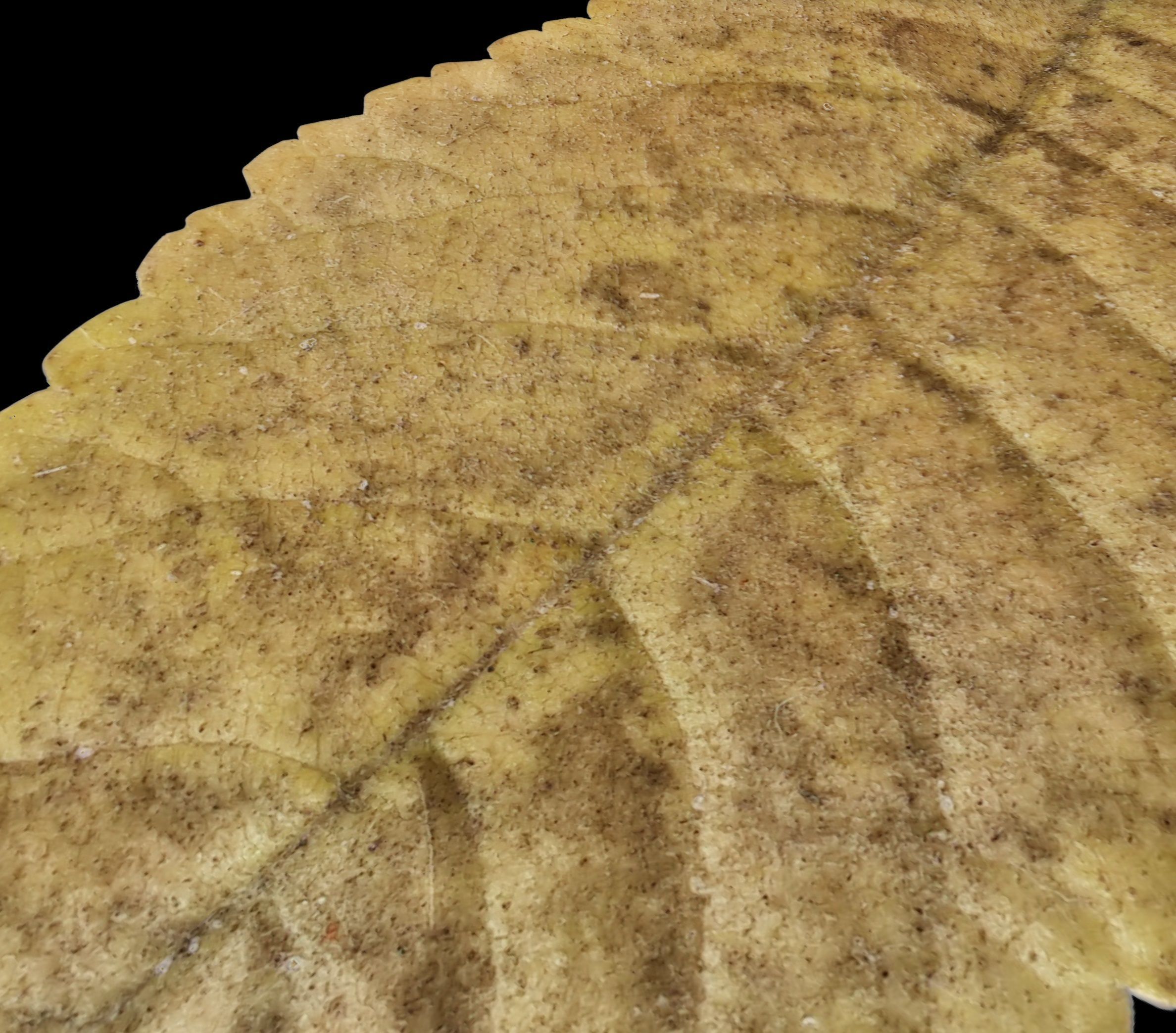 gardening props  - Game Ready - VR AR 3D Model Collection_41