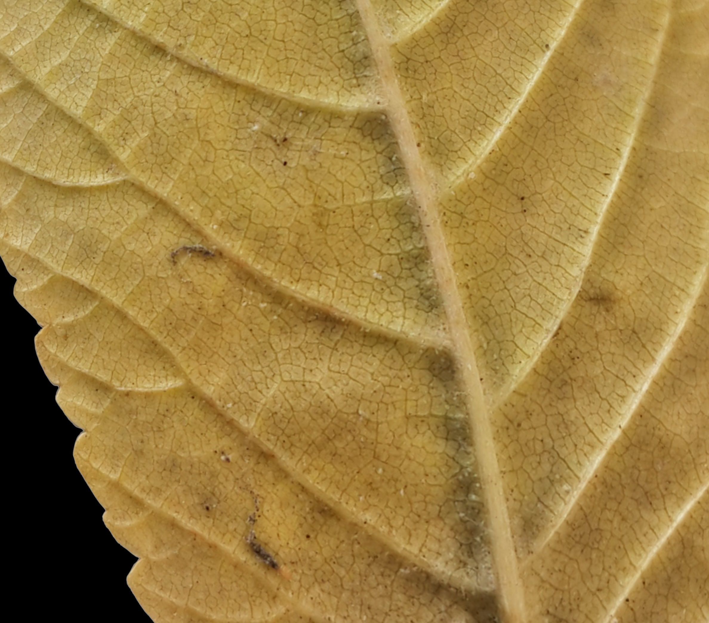 gardening props  - Game Ready - VR AR 3D Model Collection_21