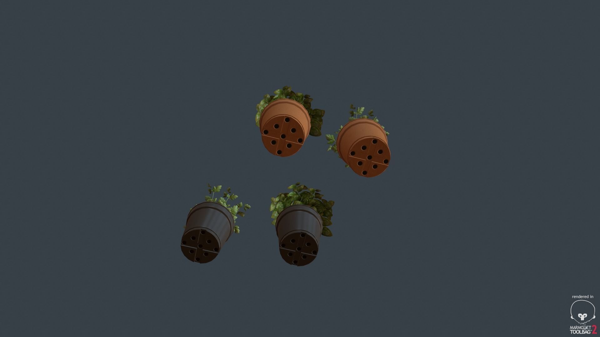 Game Ready Herbs group of potted plants Low-poly 3D model_7
