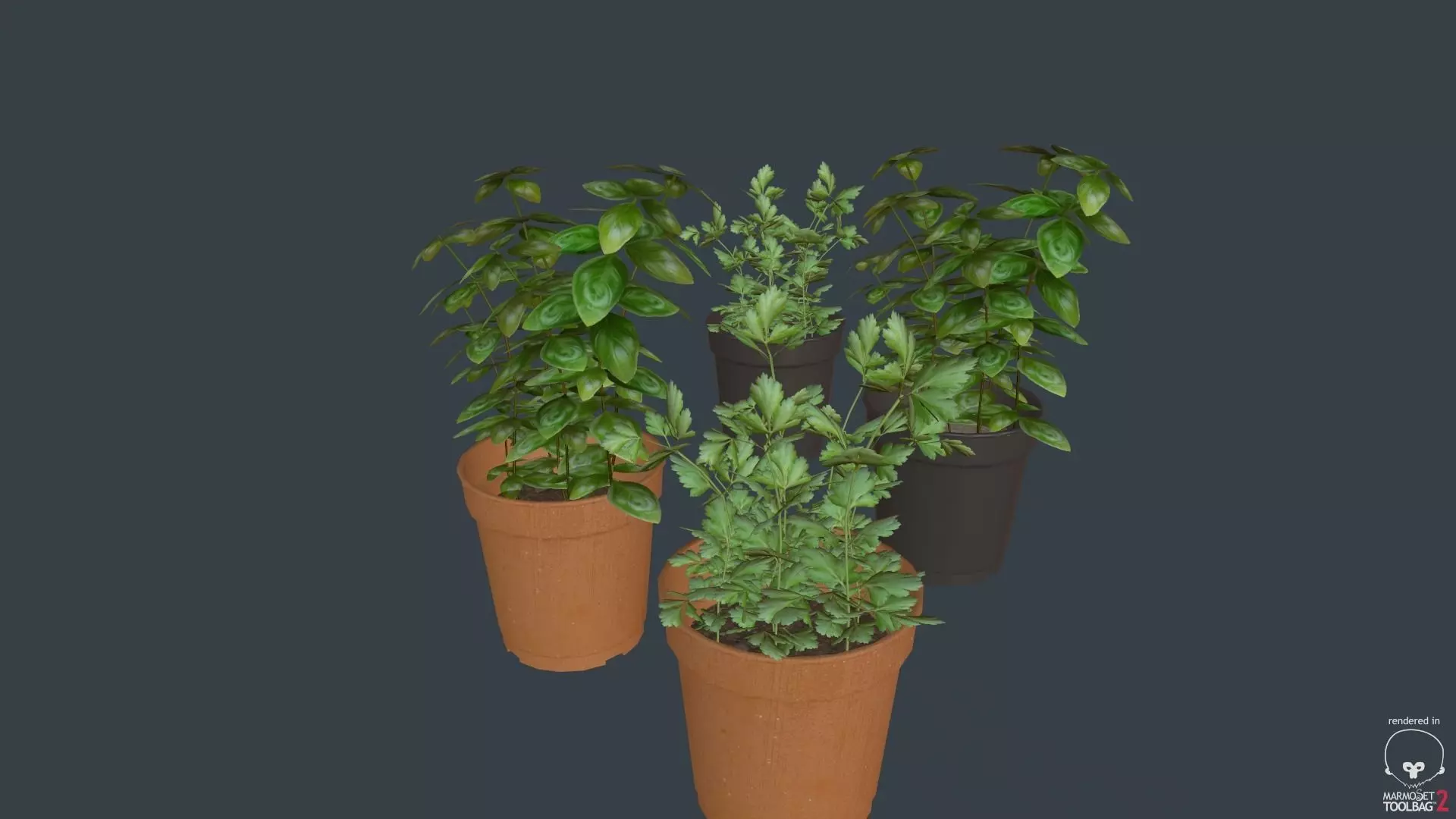 Game Ready Herbs group of potted plants Low-poly 3D model_0