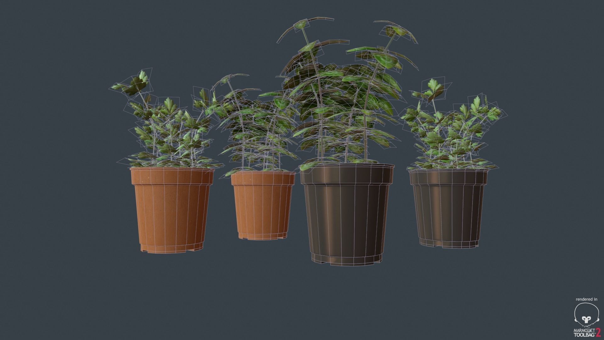 Game Ready Herbs group of potted plants Low-poly 3D model_4