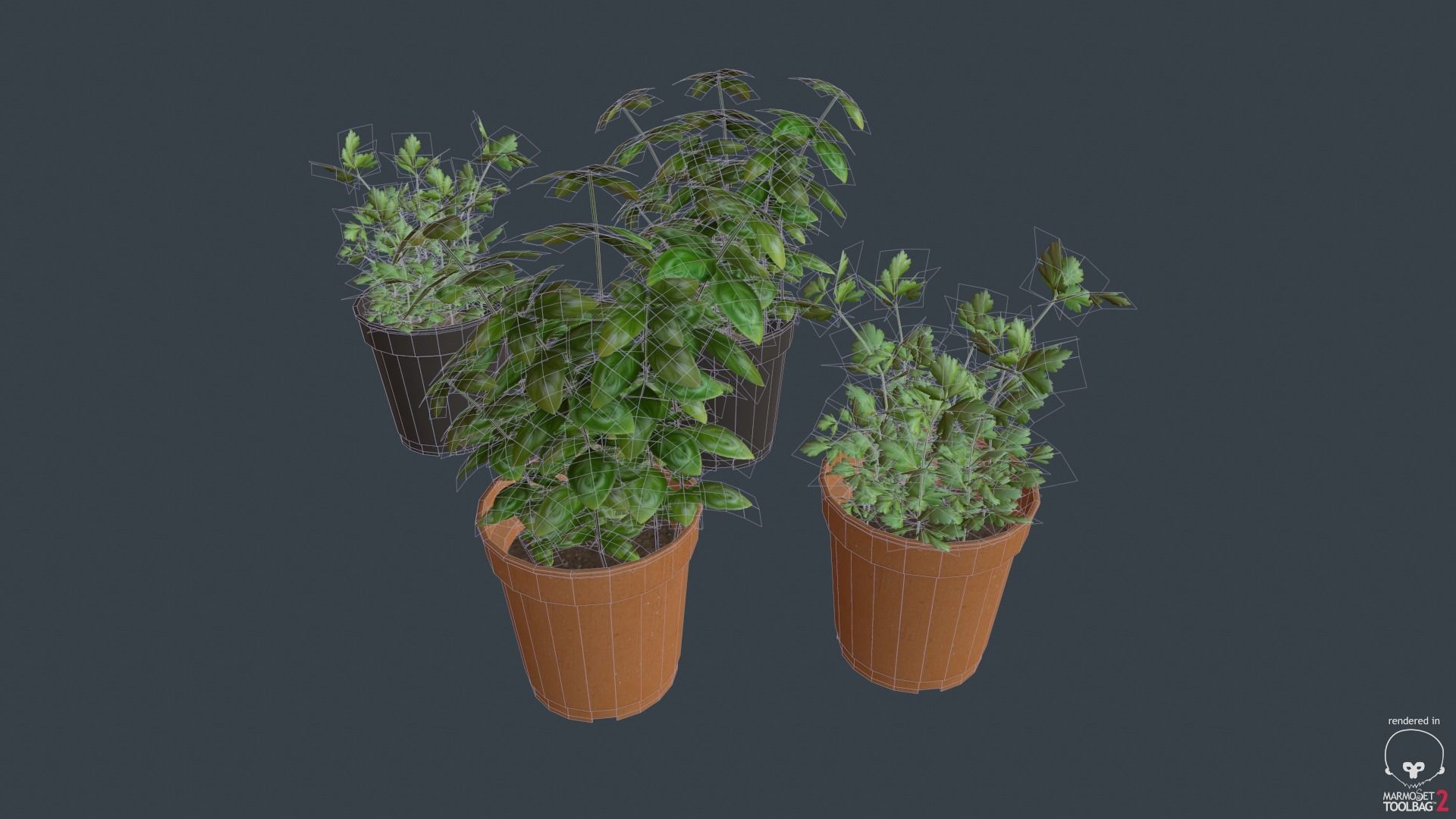 Game Ready Herbs group of potted plants Low-poly 3D model_3