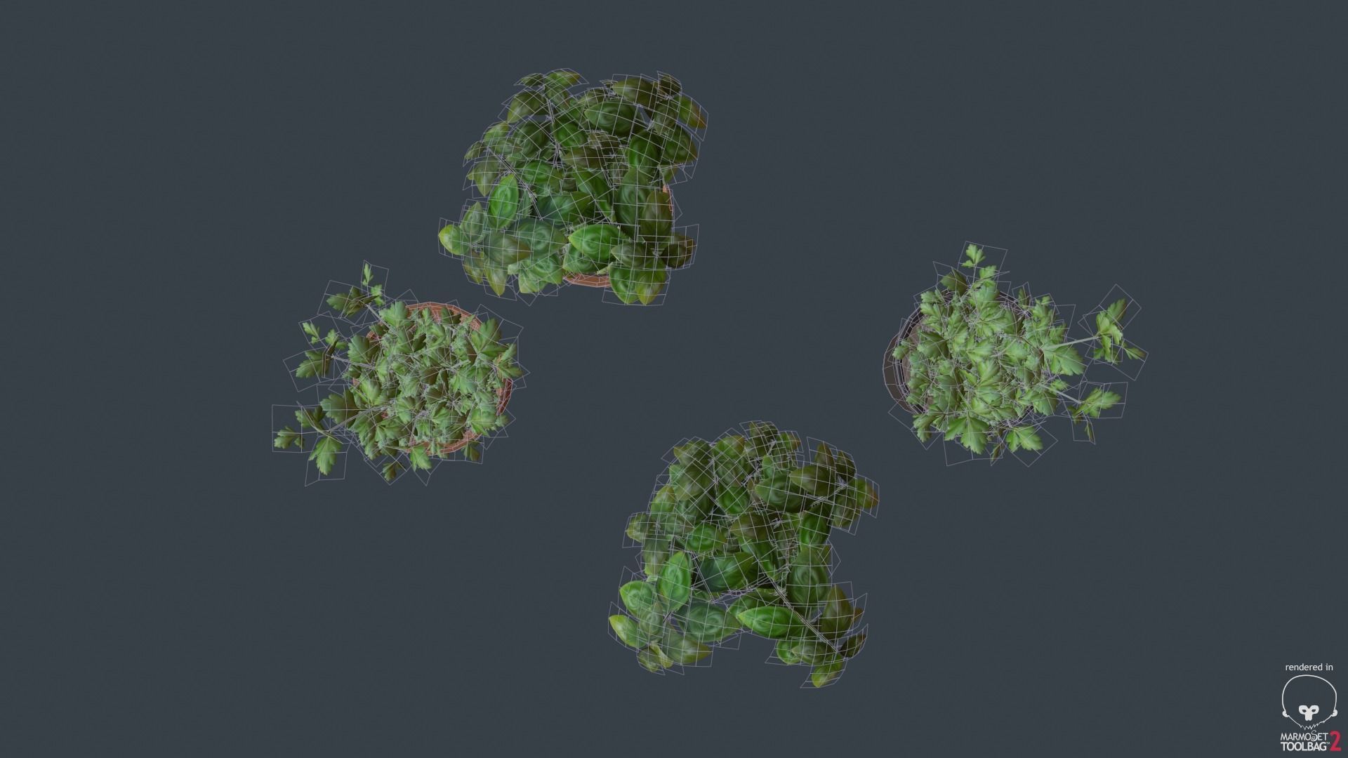 Game Ready Herbs group of potted plants Low-poly 3D model_8