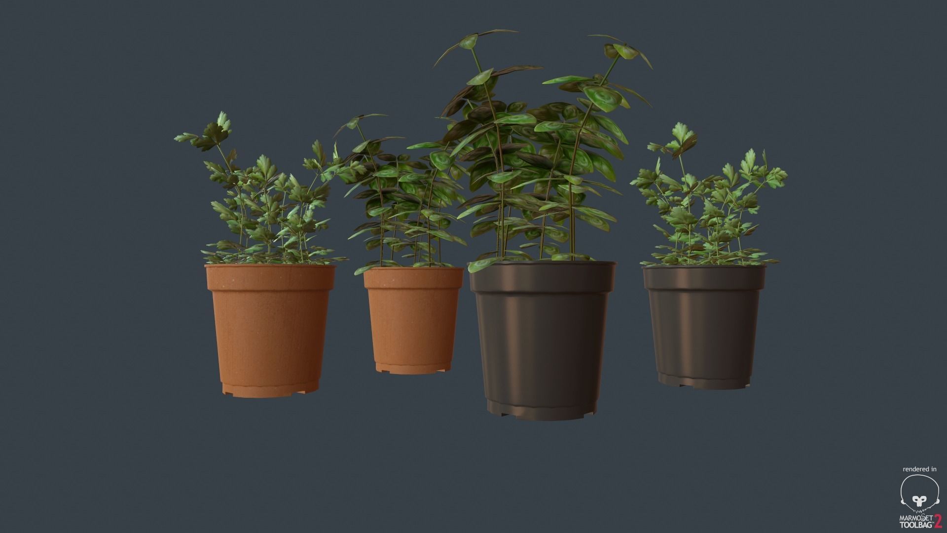 Game Ready Herbs group of potted plants Low-poly 3D model_5