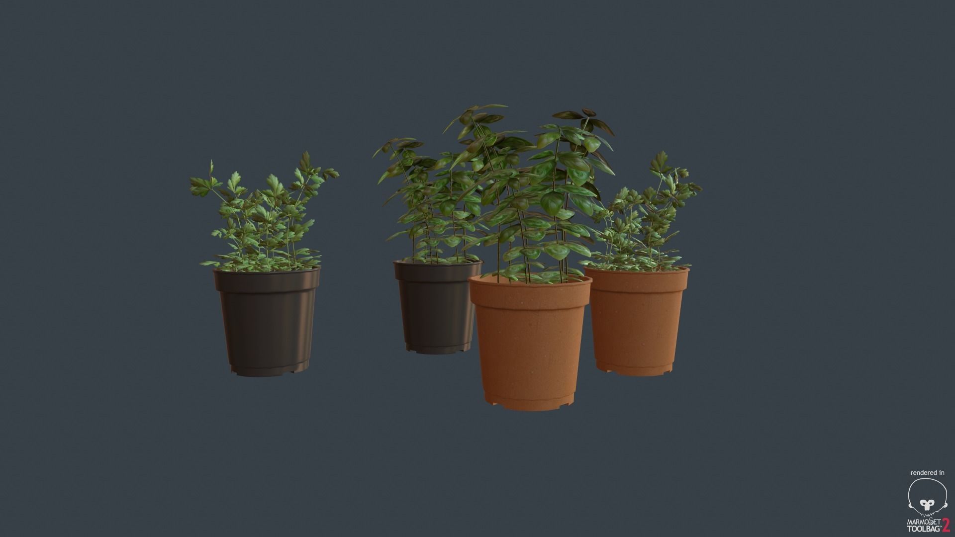 Game Ready Herbs group of potted plants Low-poly 3D model_6