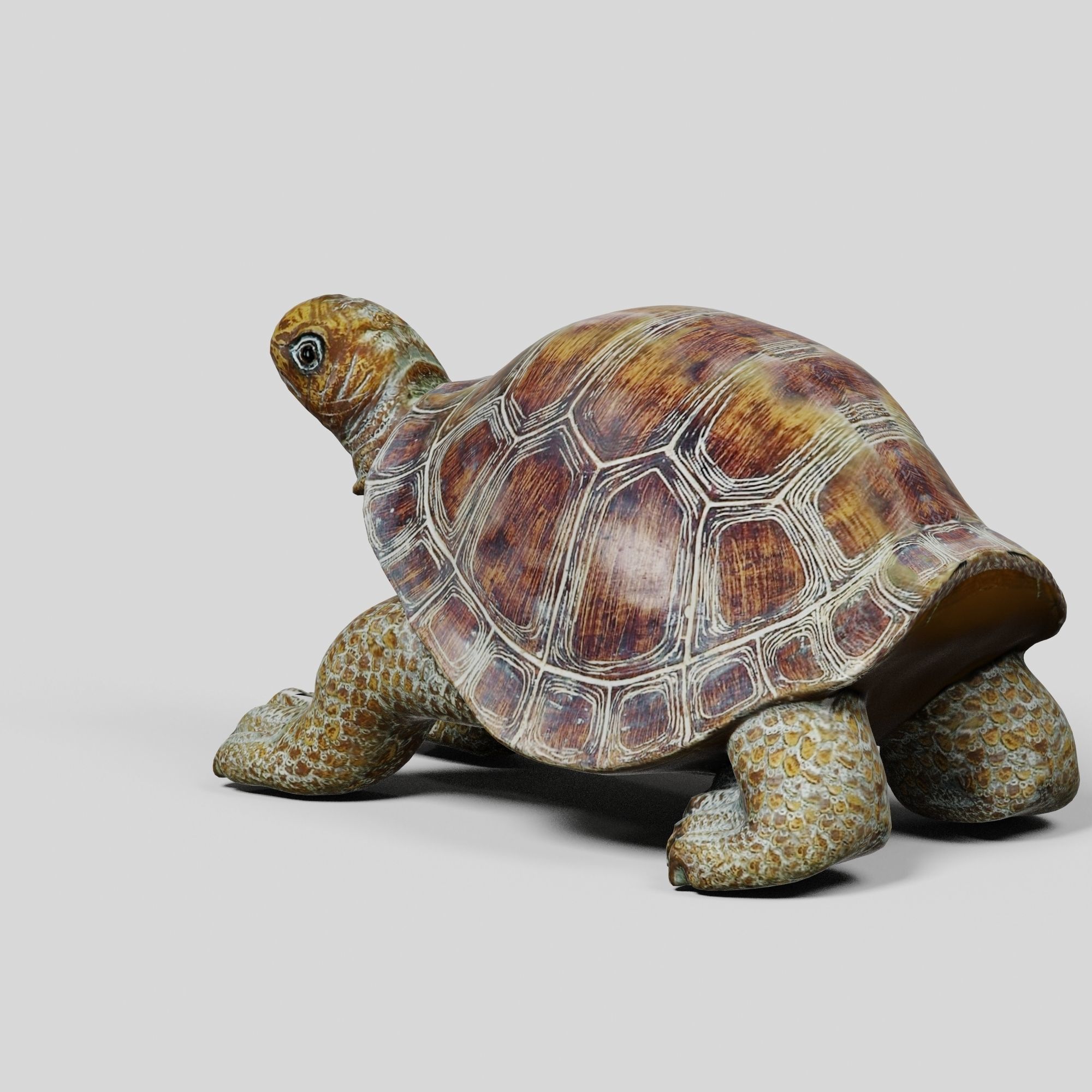 Havenside Home Turtle Sculpture Low-poly 3D model_4