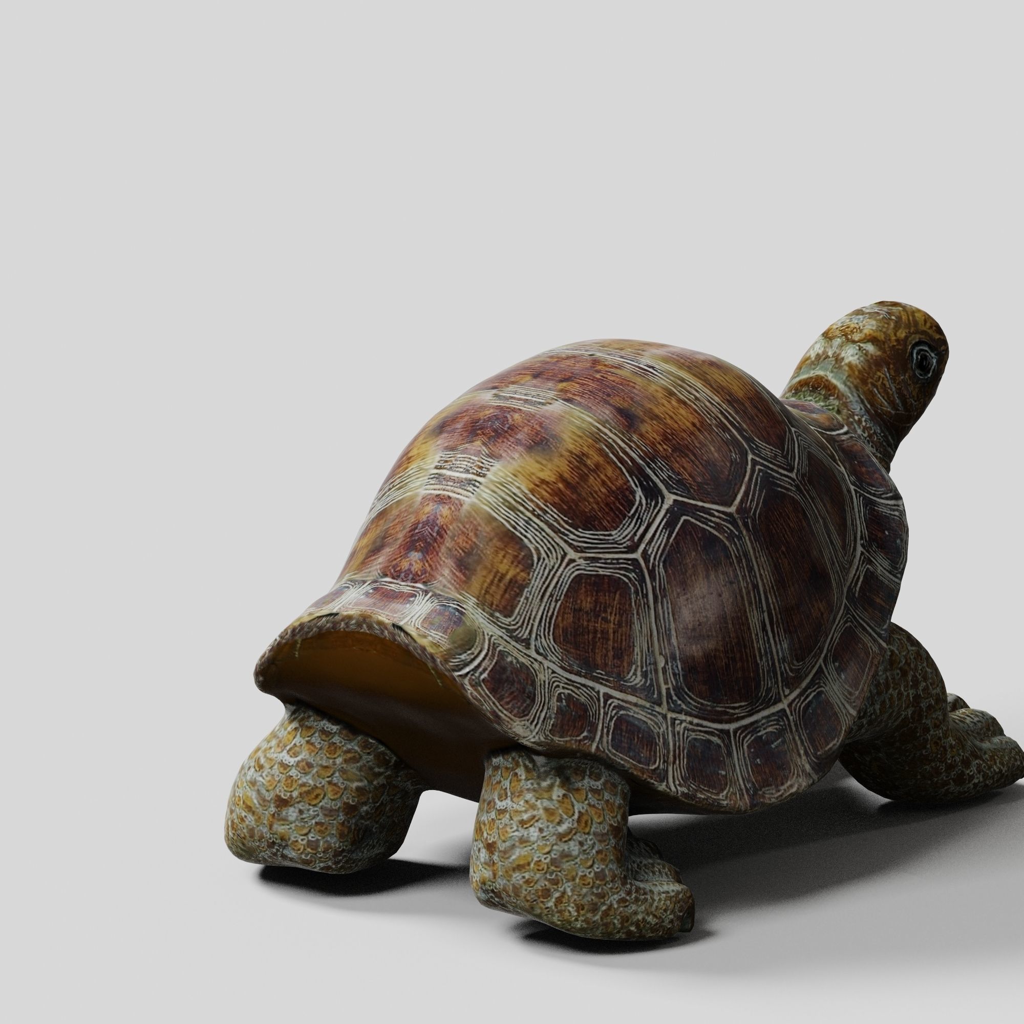 Havenside Home Turtle Sculpture Low-poly 3D model_3