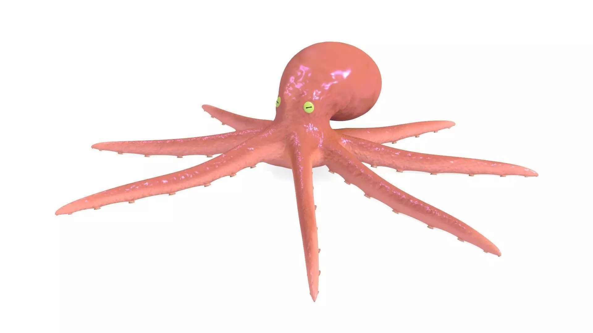 Octopus Rigged 3D model_0