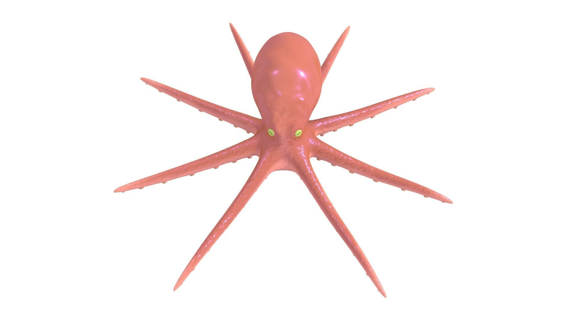 Octopus Rigged 3D model_1