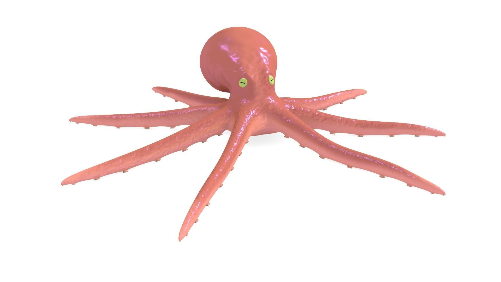 Octopus Rigged 3D model_2