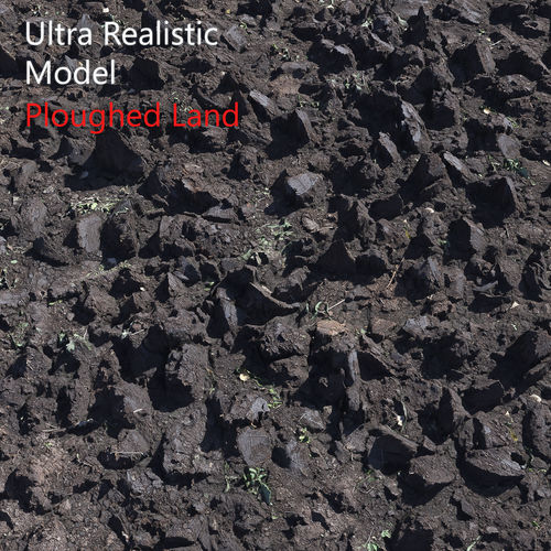 Ultra realistic Poughed Land Scan 3D model