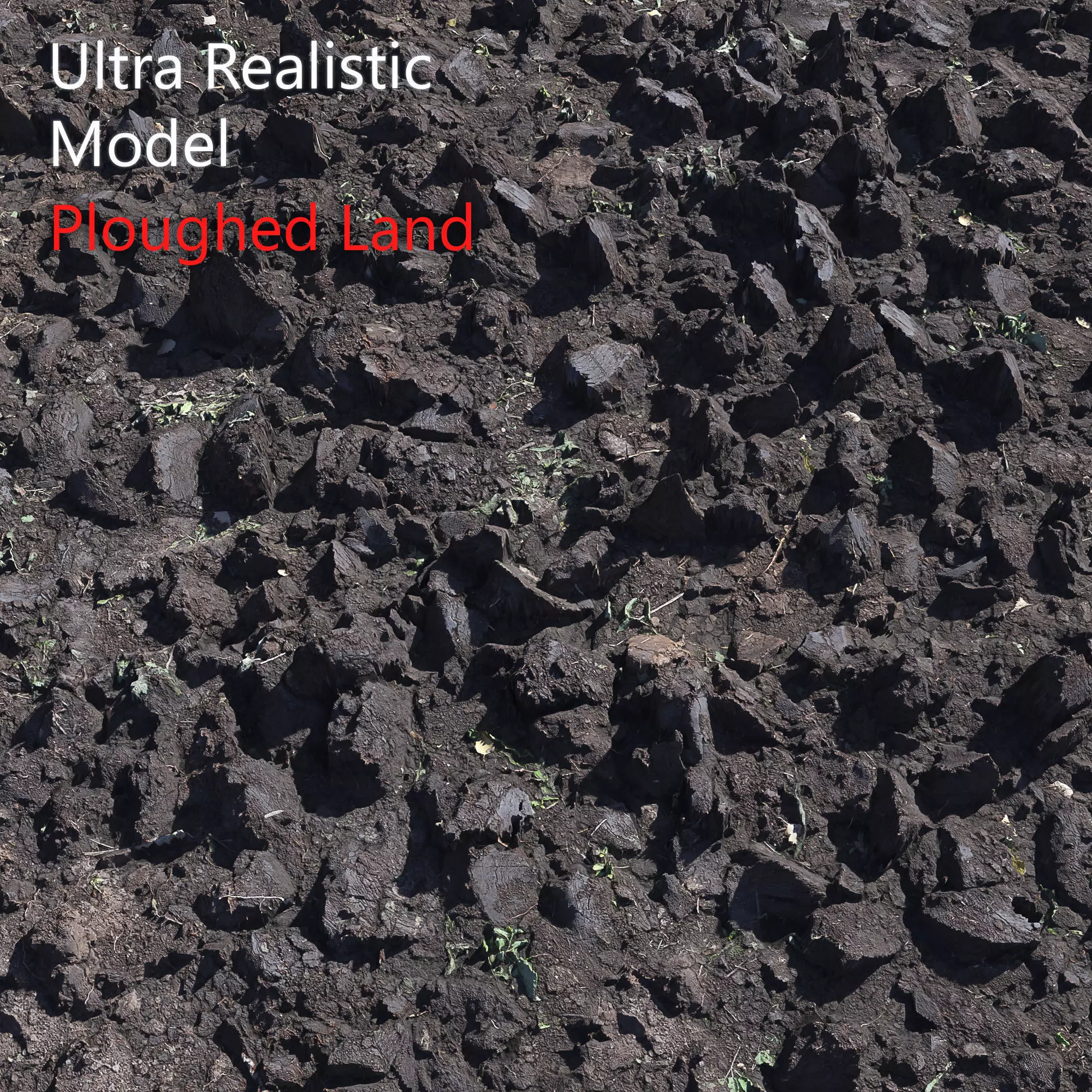 Ultra realistic Poughed Land Scan 3D model_0
