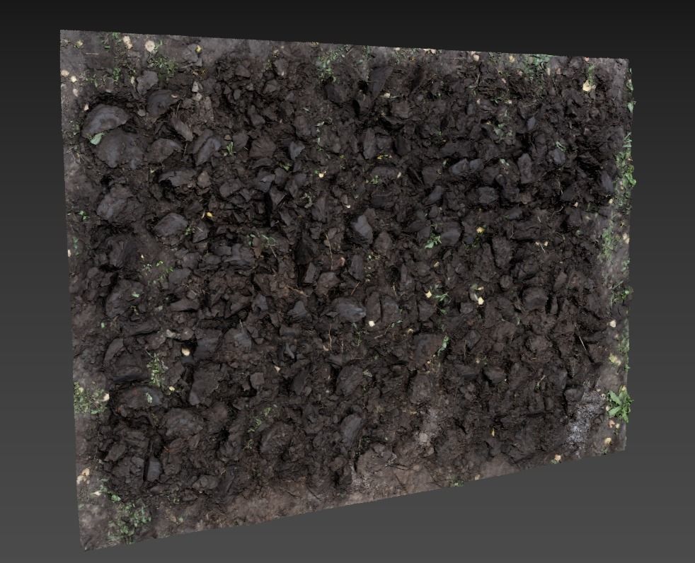 Ultra realistic Poughed Land Scan 3D model_5