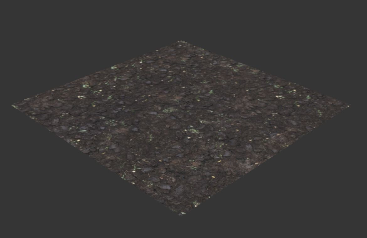 Ultra realistic Poughed Land Scan 3D model_4